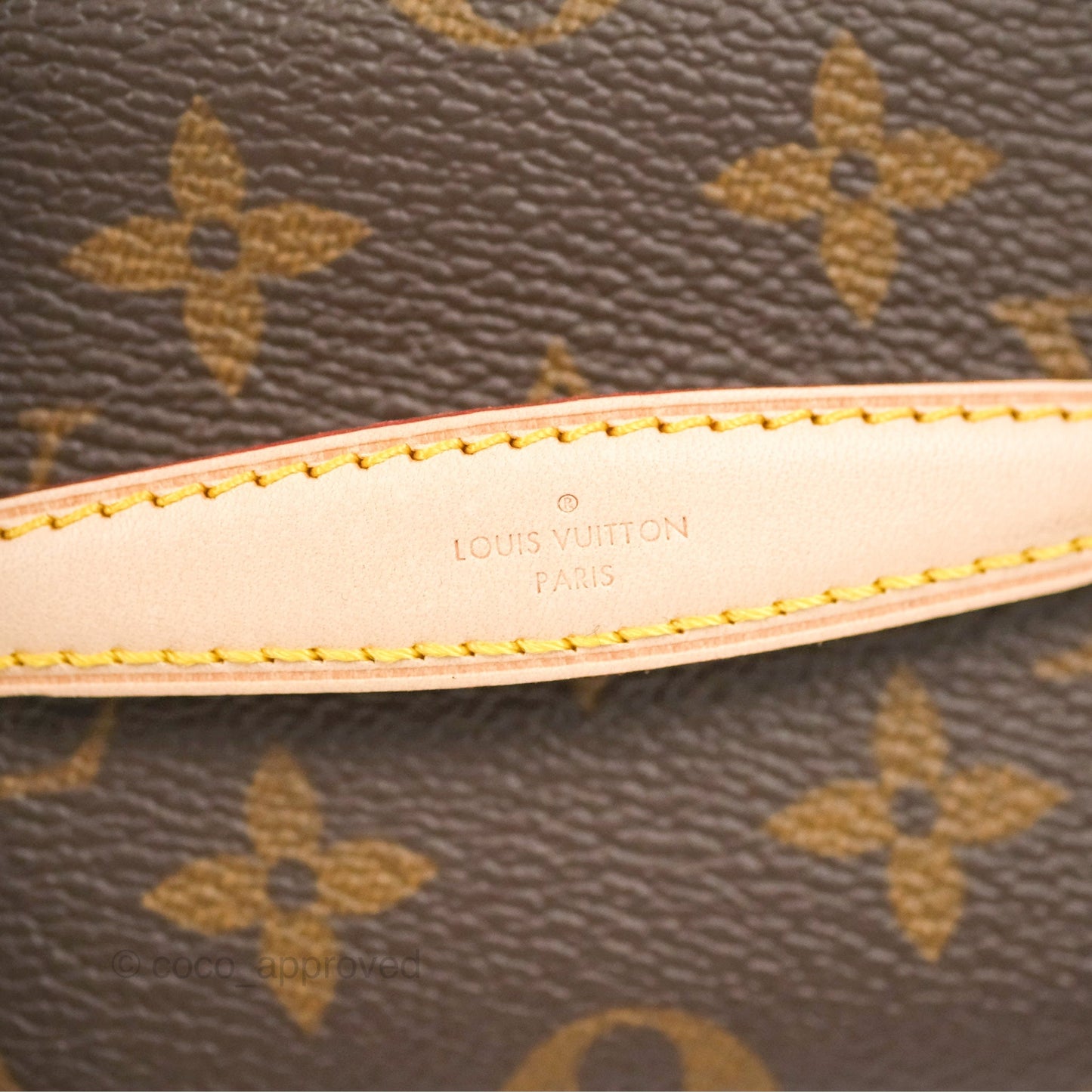 Louis Vuitton Nano Nice Monogram