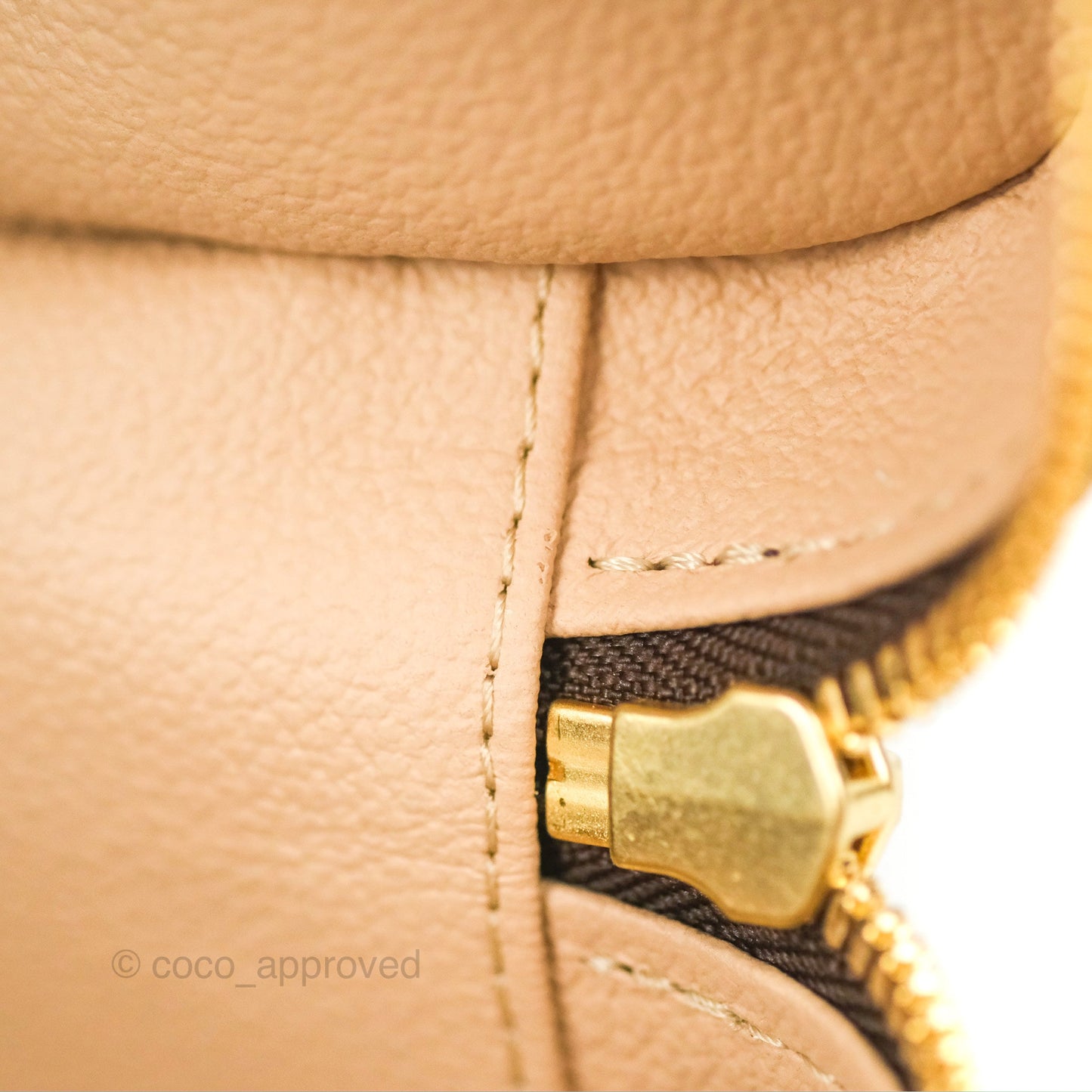 Louis Vuitton Nano Nice Monogram