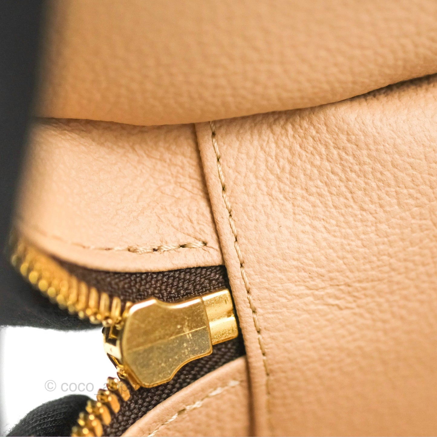 Louis Vuitton Nano Nice Monogram