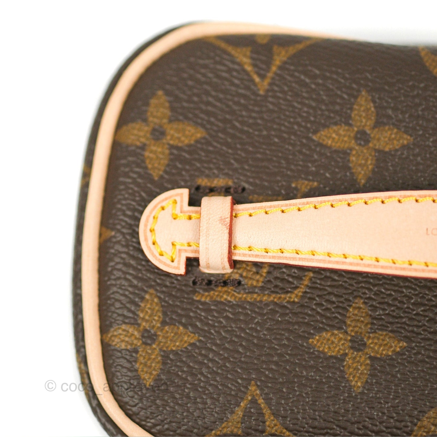 Louis Vuitton Nano Nice Monogram