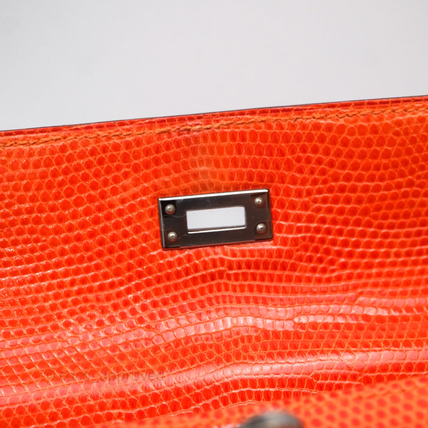 Hermes Kelly 25 Poppy Orange Lizard Palladium Hardware