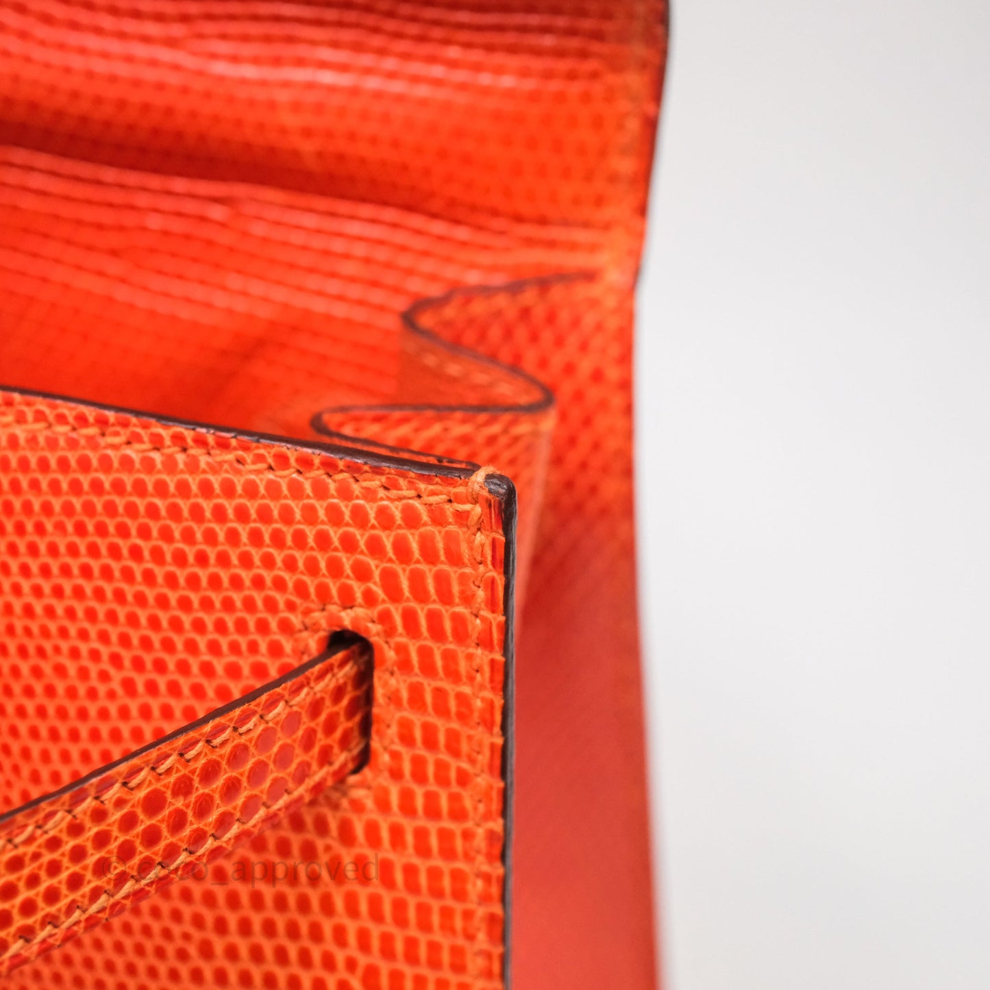 Hermes Kelly 25 Poppy Orange Lizard Palladium Hardware