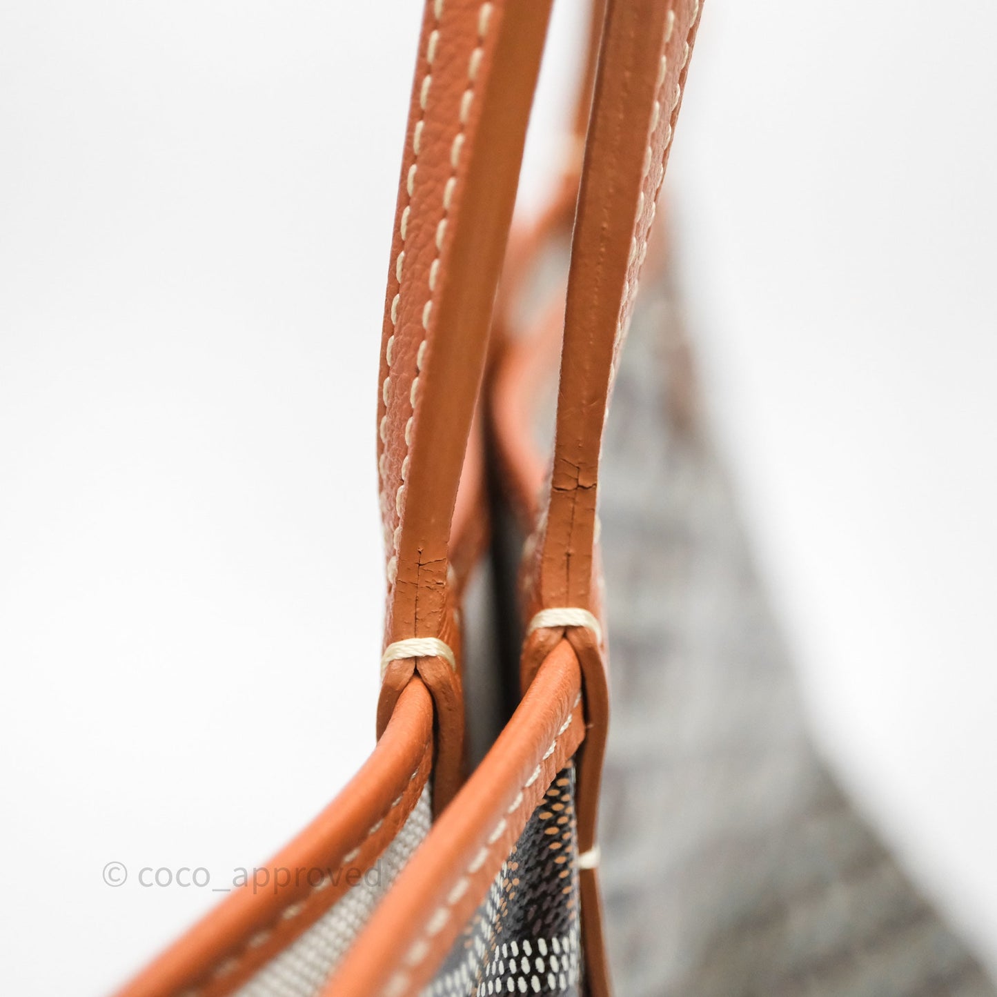Goyard St Louis Tote PM Tan Black