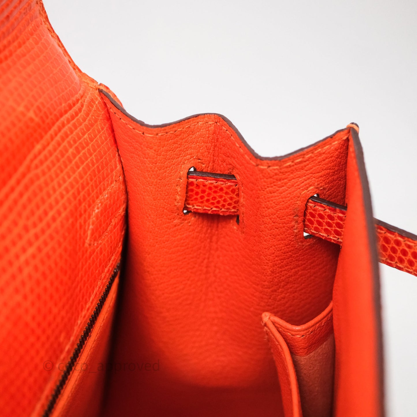 Hermes Kelly 25 Poppy Orange Lizard Palladium Hardware
