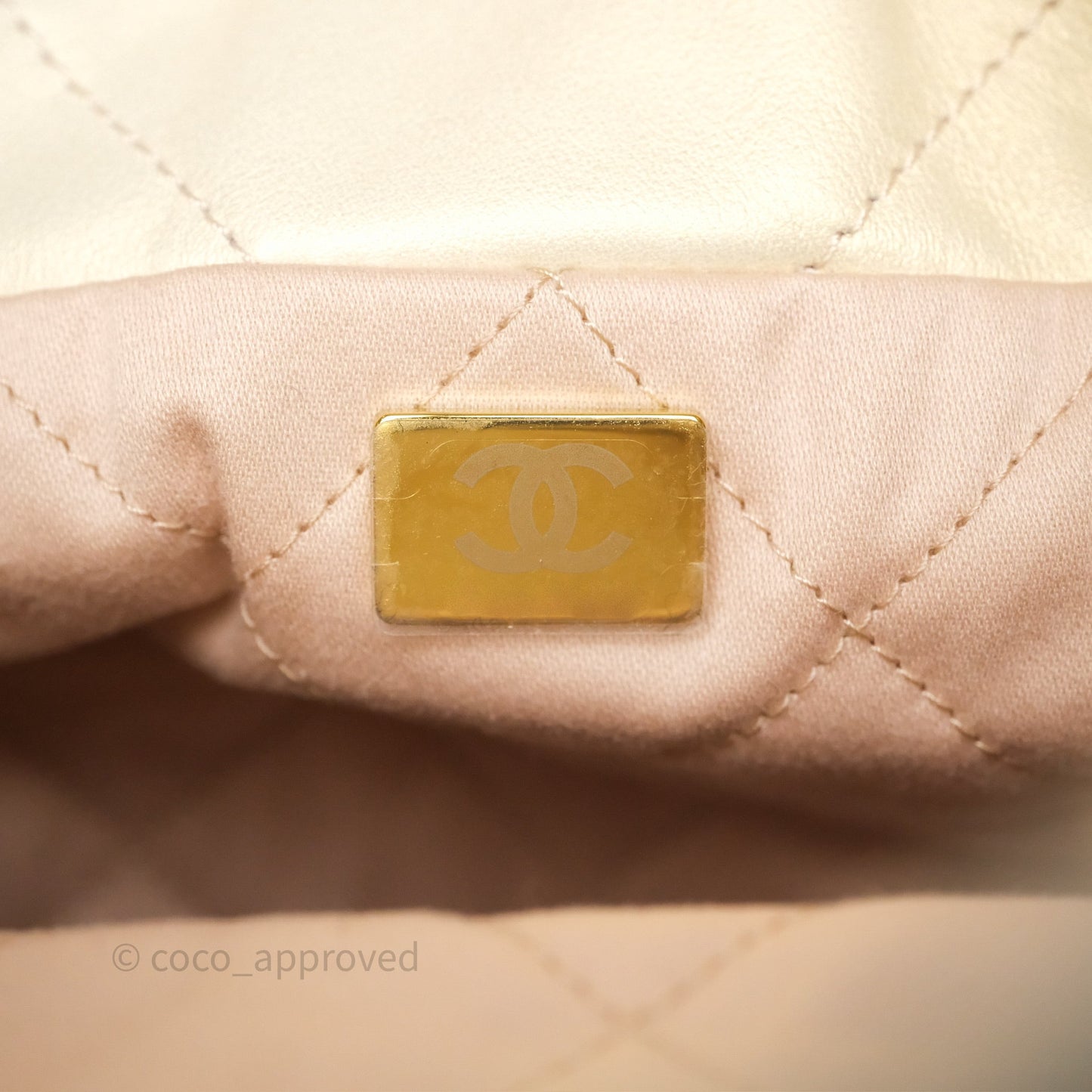 Chanel 22 Mini Bag Iridescent Light Pearly Calfskin Aged Gold Hardware