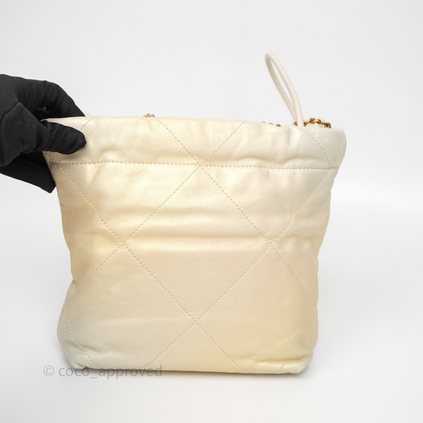 Chanel 22 Mini Bag Iridescent Light Pearly Calfskin Aged Gold Hardware