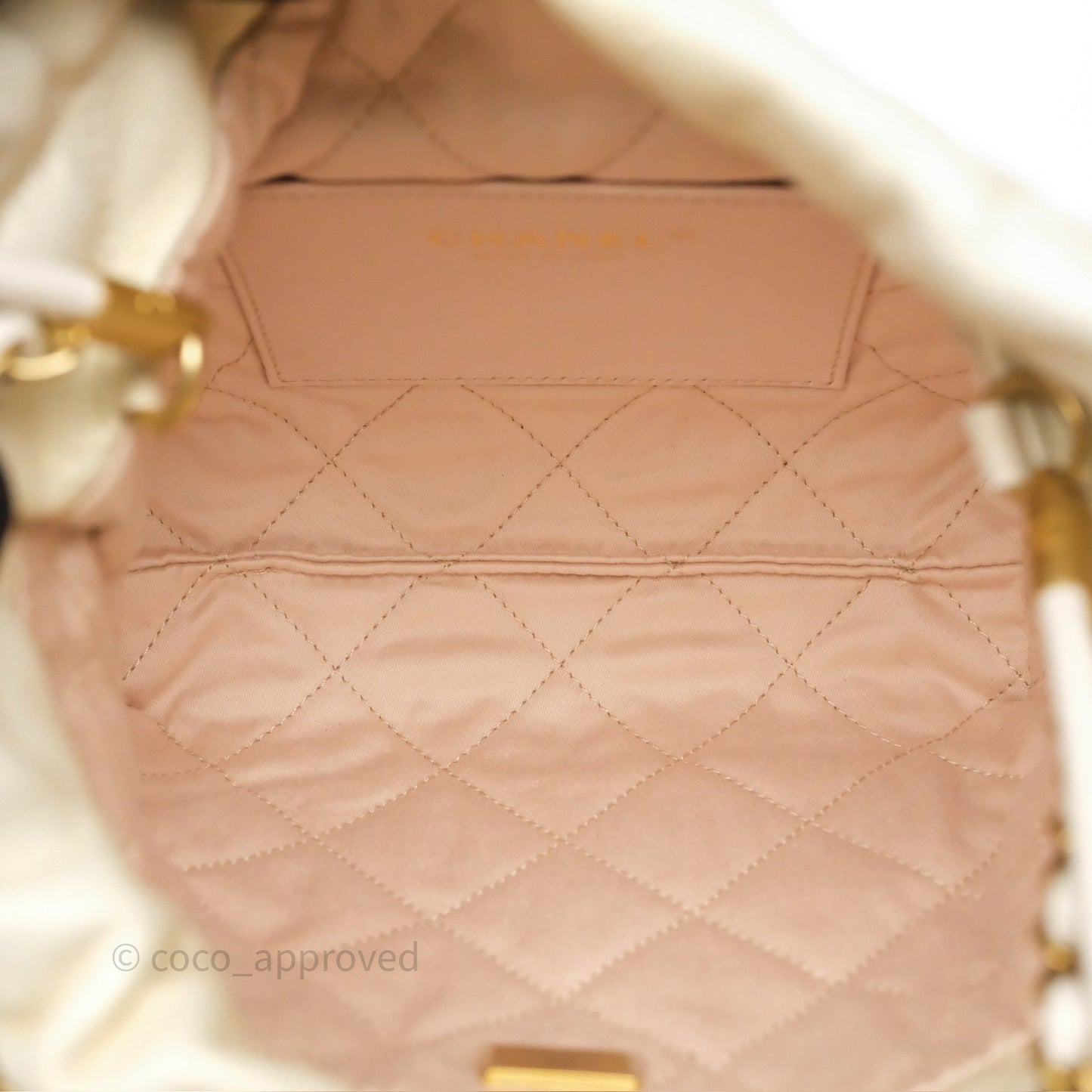 Chanel 22 Mini Bag Iridescent Light Pearly Calfskin Aged Gold Hardware