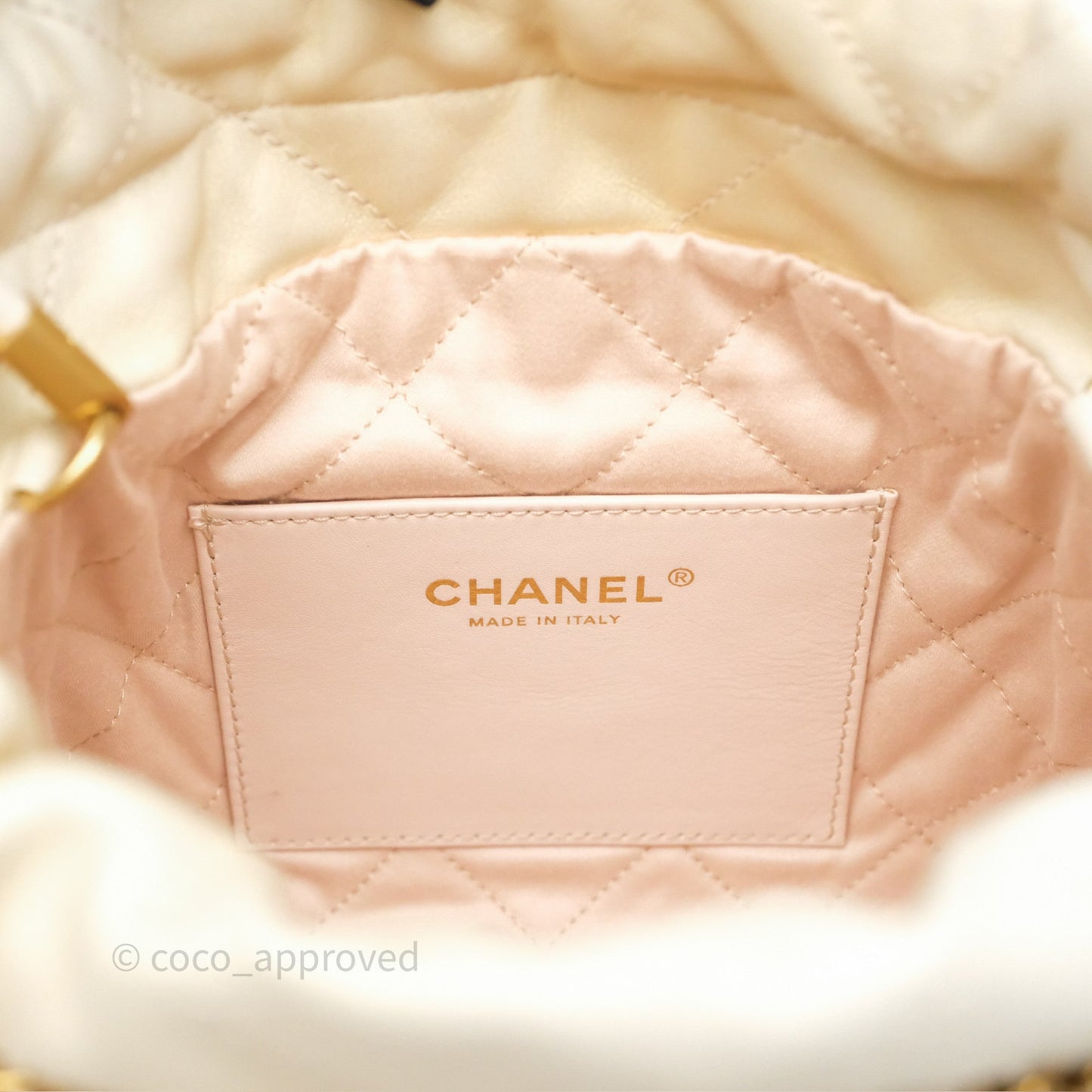 Chanel 22 Mini Bag Iridescent Light Pearly Calfskin Aged Gold Hardware