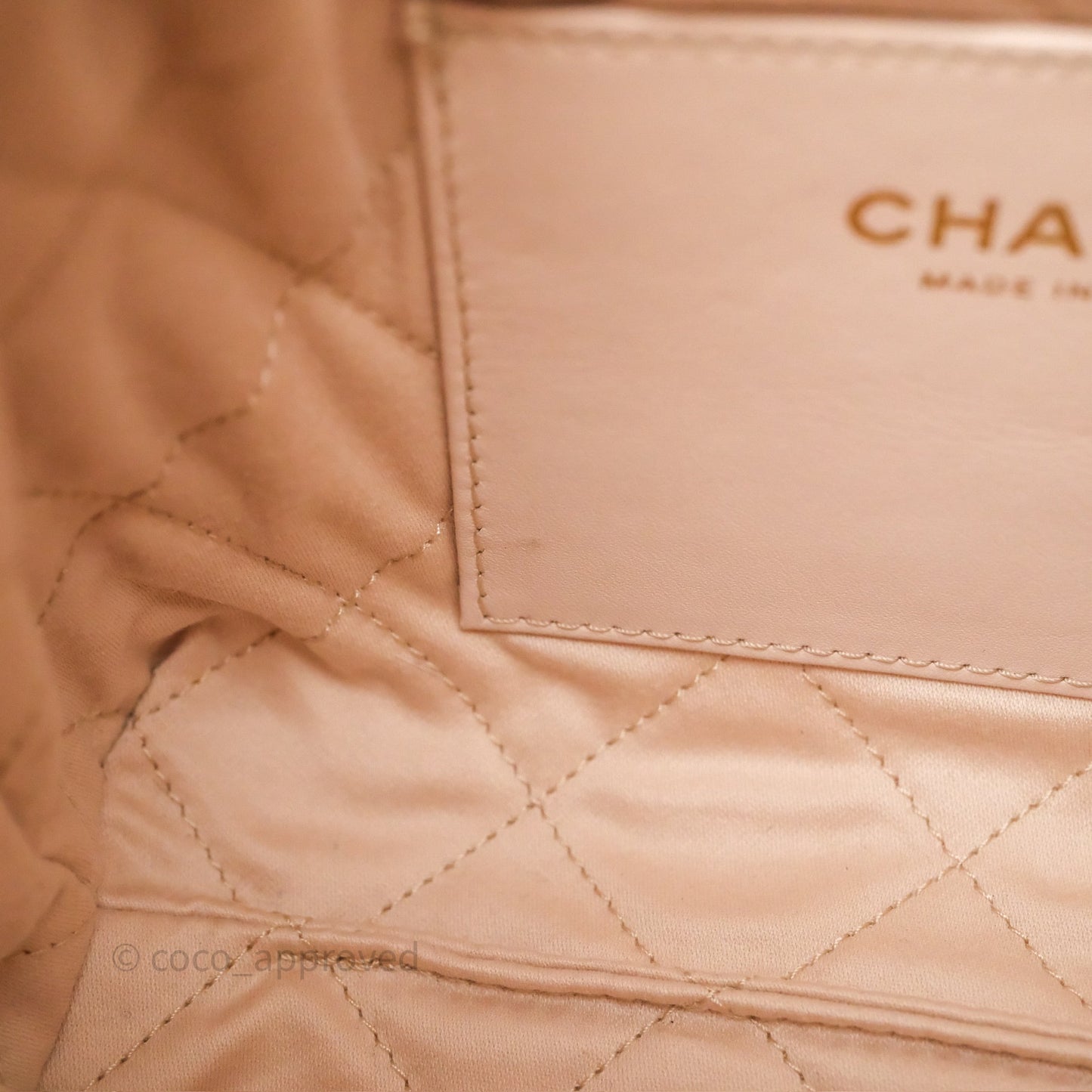 Chanel 22 Mini Bag Iridescent Light Pearly Calfskin Aged Gold Hardware