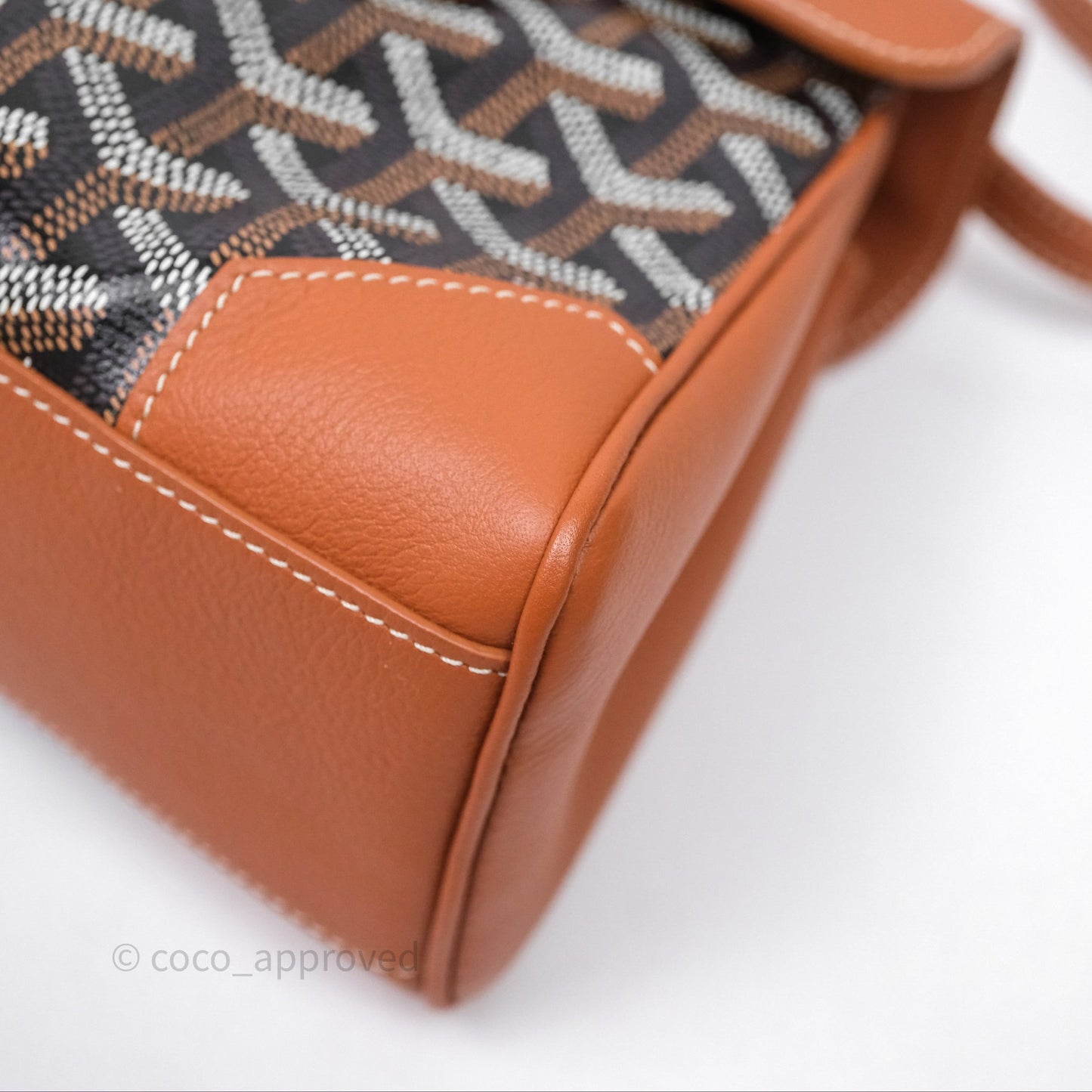 Goyard Saïgon Mini Bag Black And Tan Goyardine Canvas/ Chevroches Calfskin
