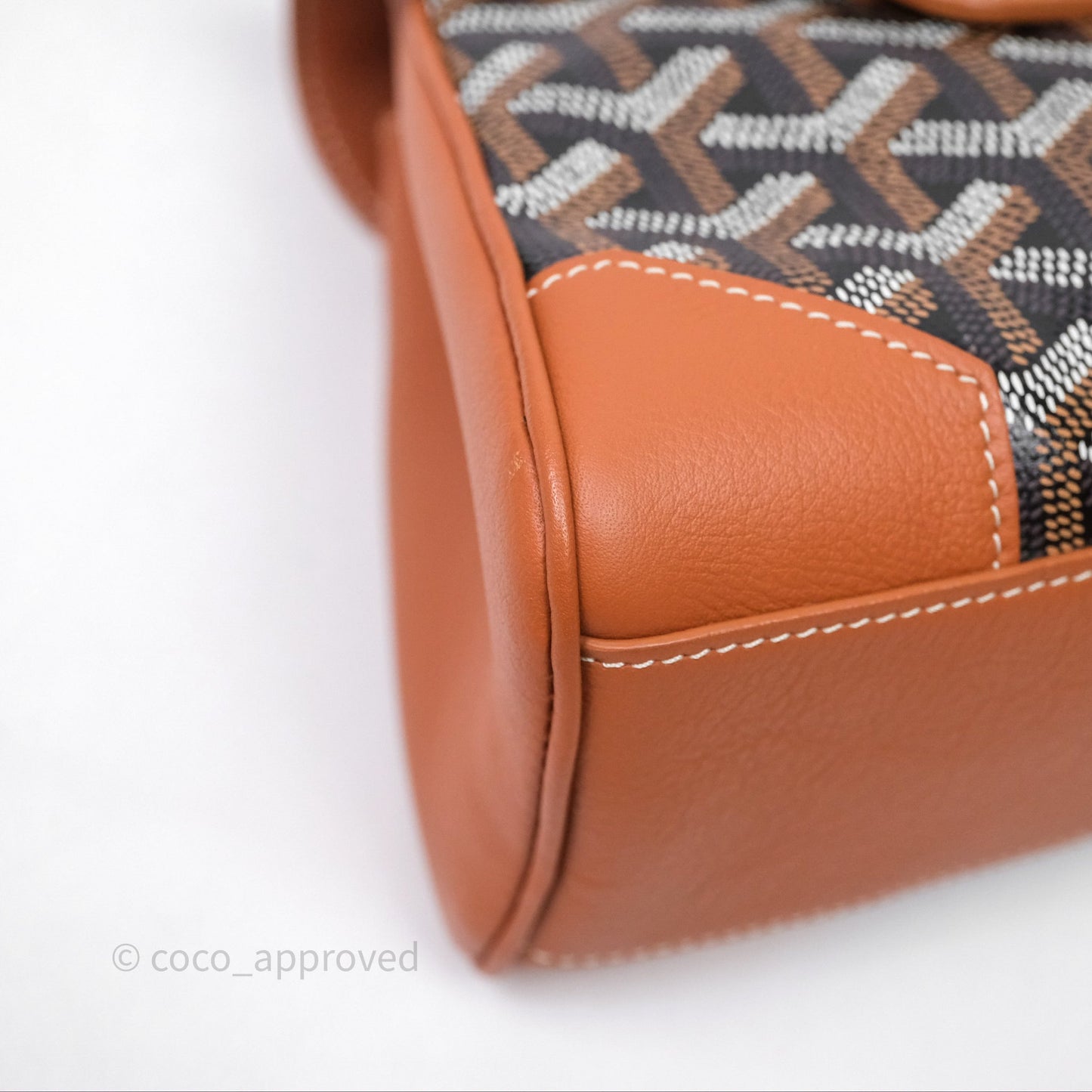 Goyard Saïgon Mini Bag Black And Tan Goyardine Canvas/ Chevroches Calfskin