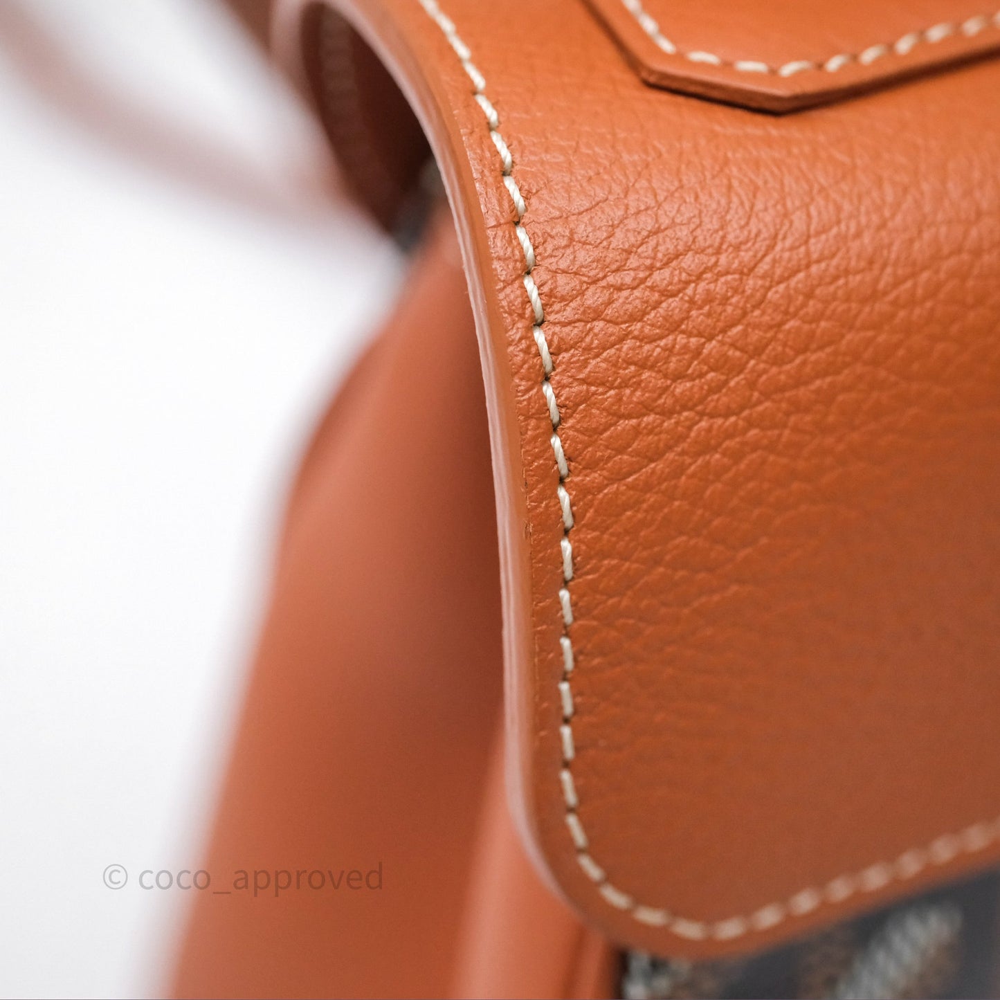 Goyard Saïgon Mini Bag Black And Tan Goyardine Canvas/ Chevroches Calfskin