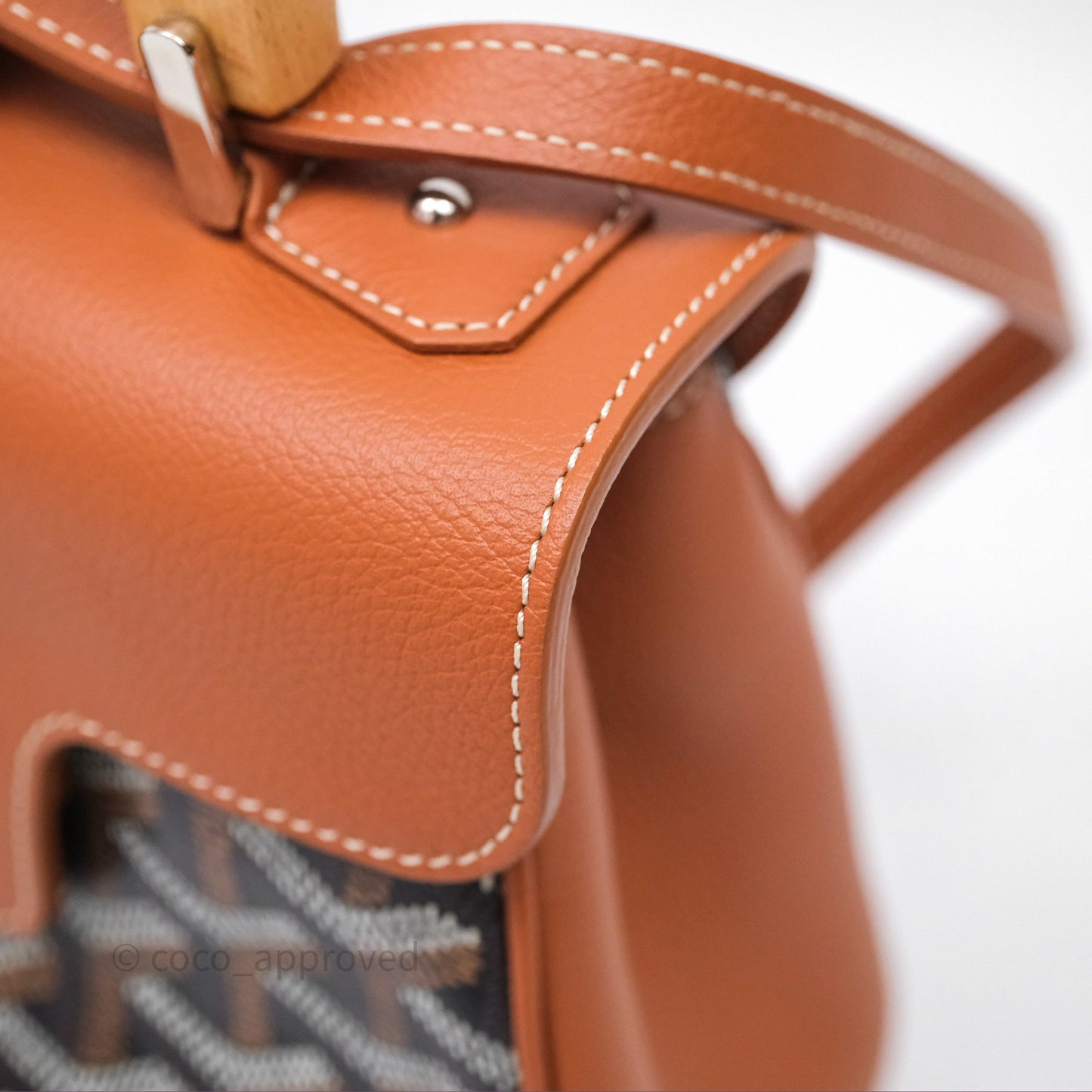 Goyard Saïgon Mini Bag Black And Tan Goyardine Canvas/ Chevroches Calfskin