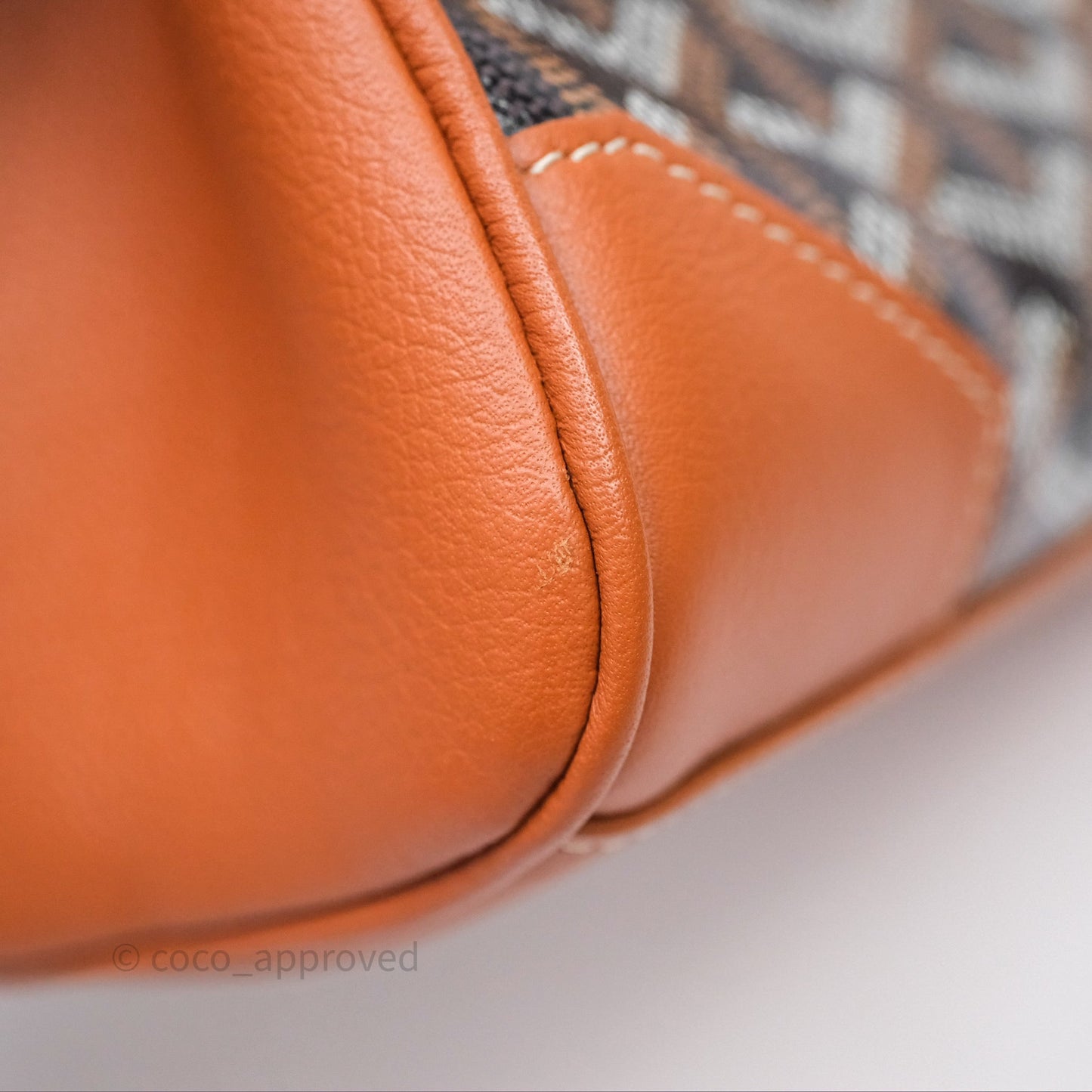 Goyard Saïgon Mini Bag Black And Tan Goyardine Canvas/ Chevroches Calfskin