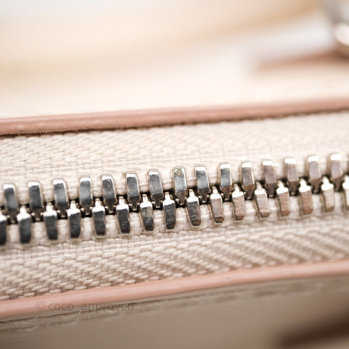 Louis Vuitton Alma Nano Quartz Silver Hardware