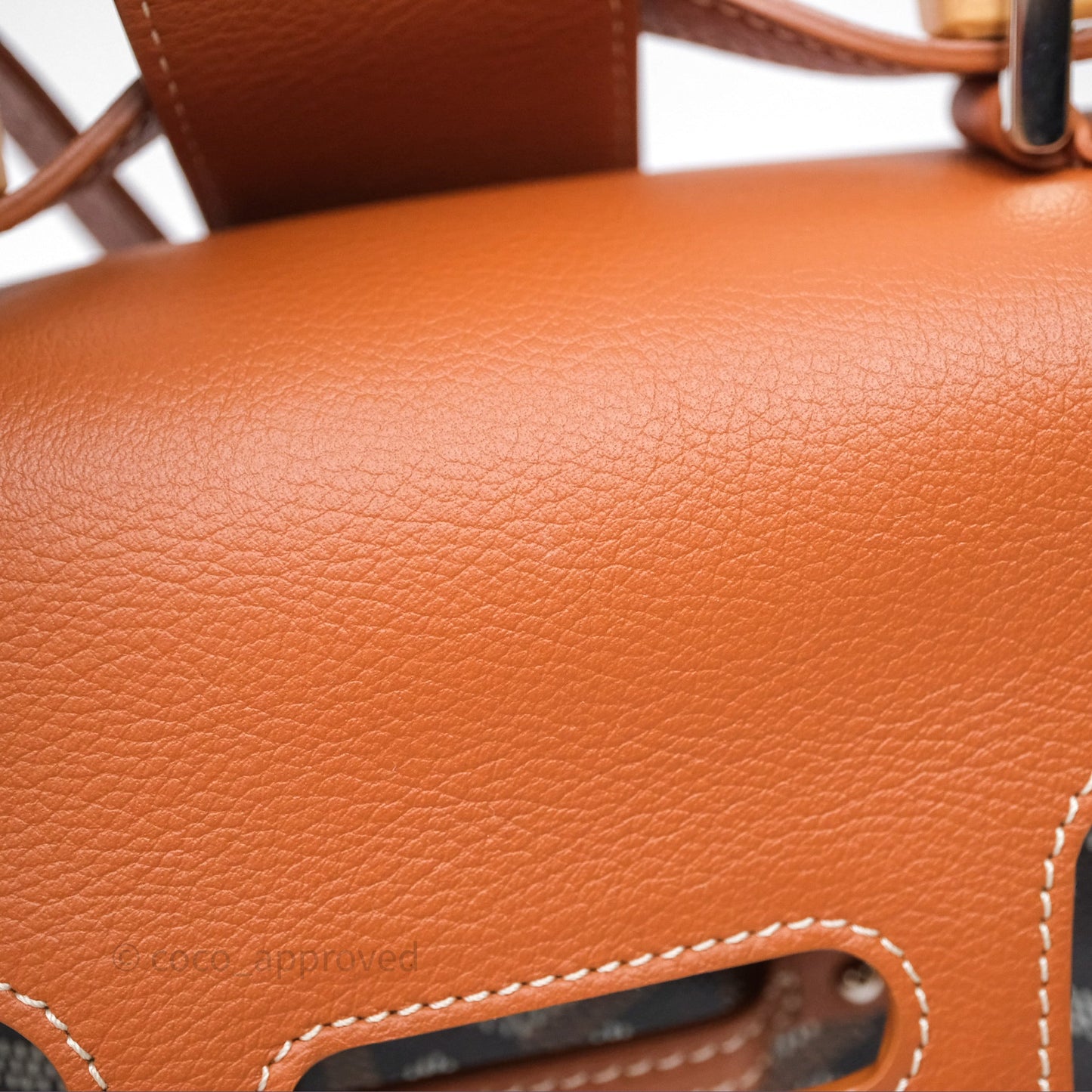 Goyard Saïgon Mini Bag Black And Tan Goyardine Canvas/ Chevroches Calfskin