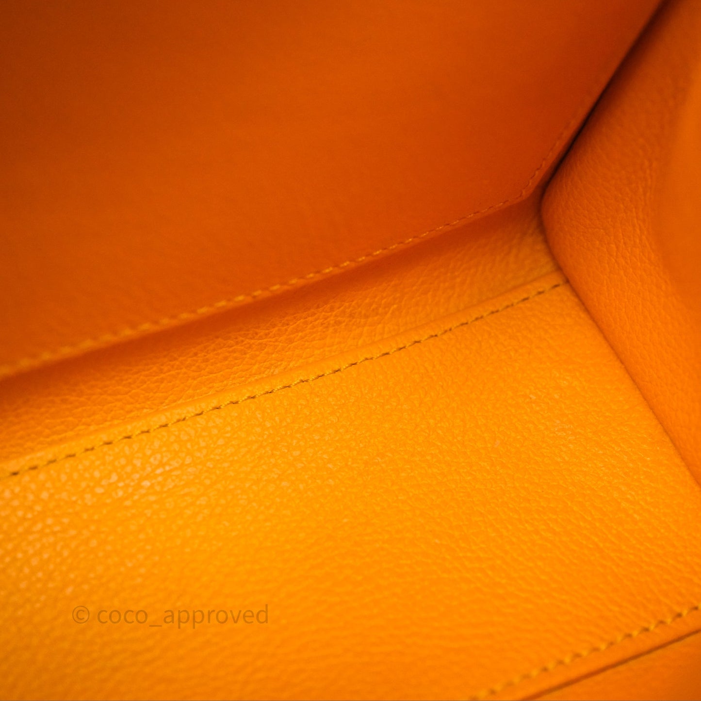 Goyard Saïgon Mini Bag Black And Tan Goyardine Canvas/ Chevroches Calfskin