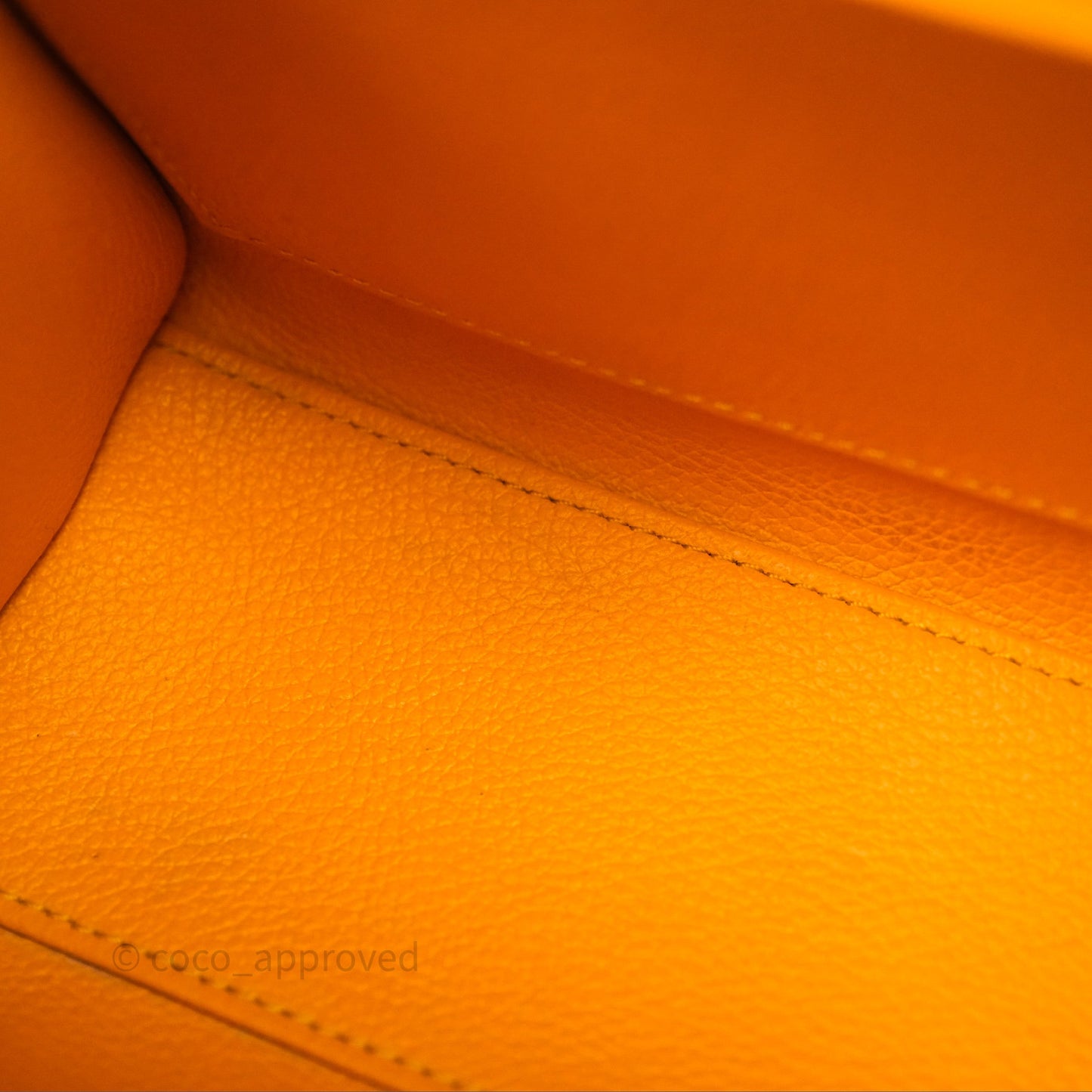 Goyard Saïgon Mini Bag Black And Tan Goyardine Canvas/ Chevroches Calfskin