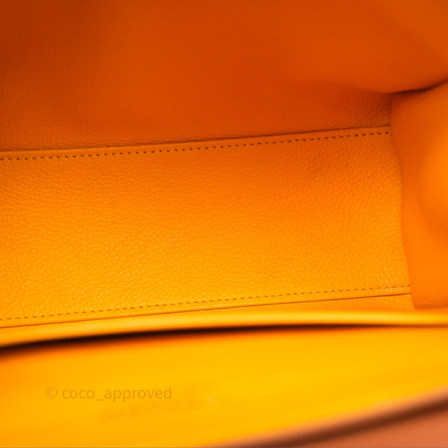 Goyard Saïgon Mini Bag Black And Tan Goyardine Canvas/ Chevroches Calfskin