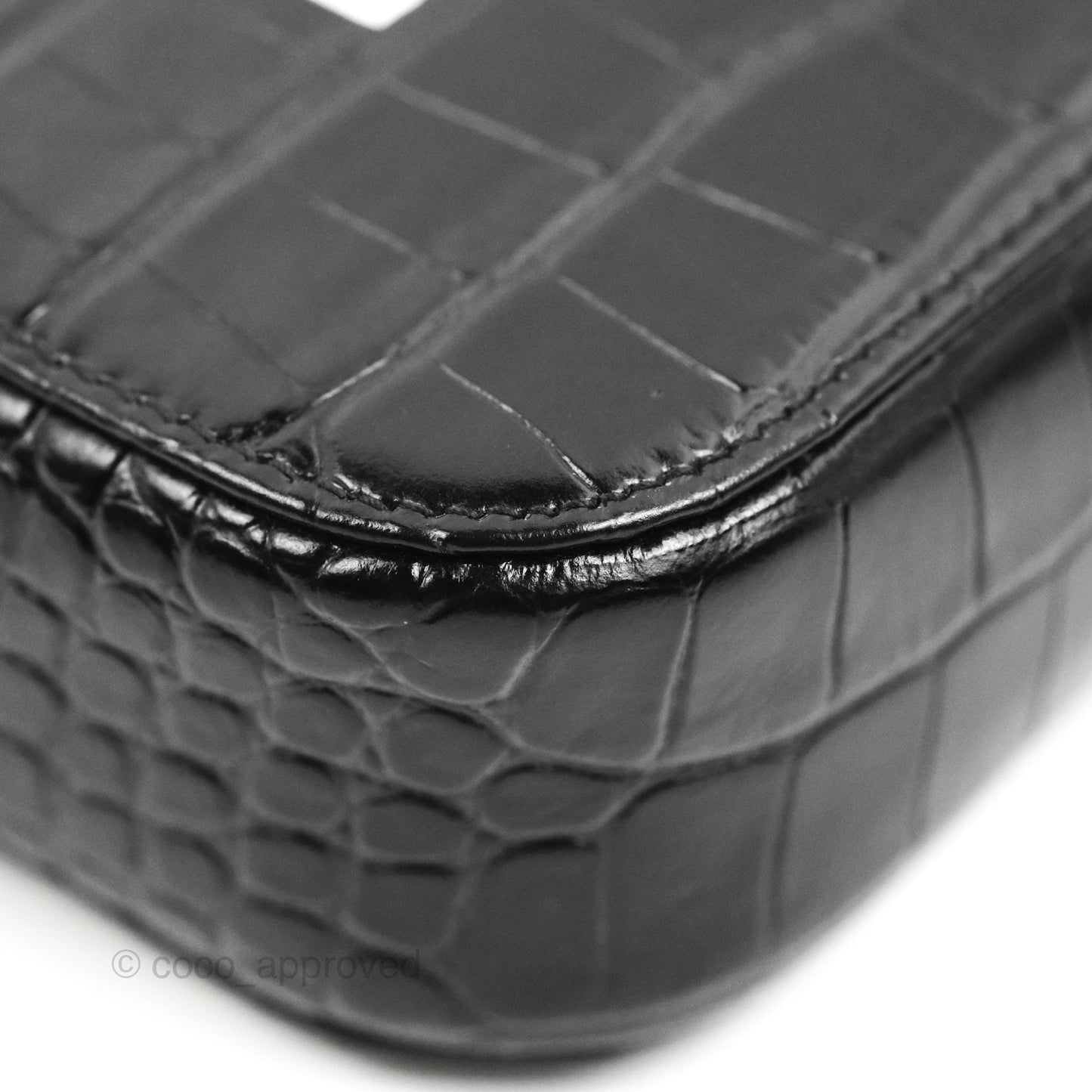 Balenciaga Everyday Camera Bag