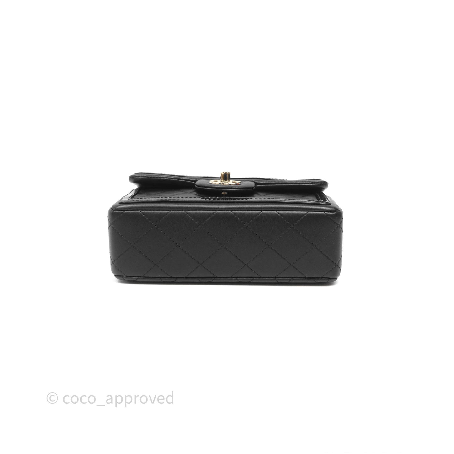 Chanel Mini Flap Bag Black Lambskin/Patent Gold Hardware