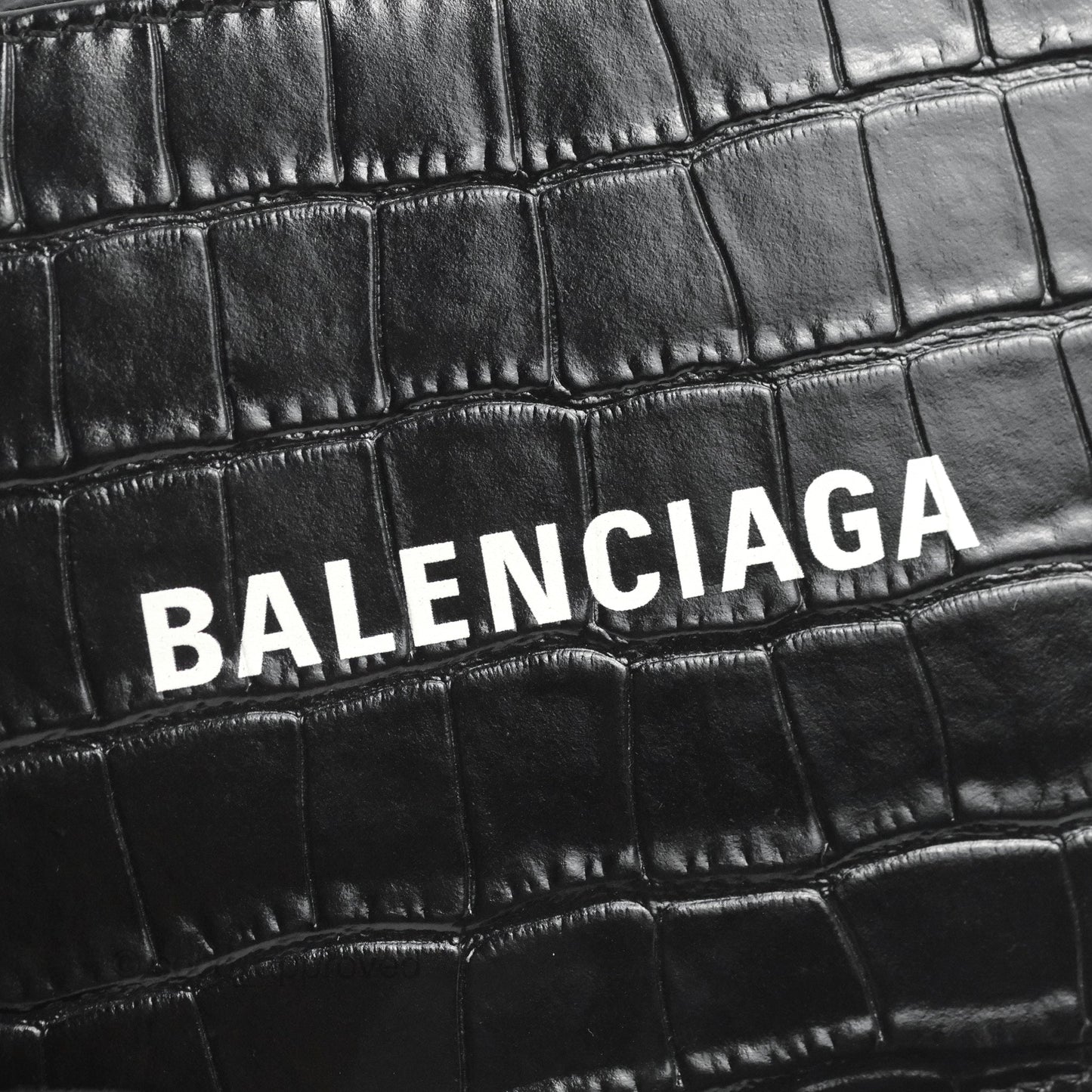 Balenciaga Everyday Camera Bag
