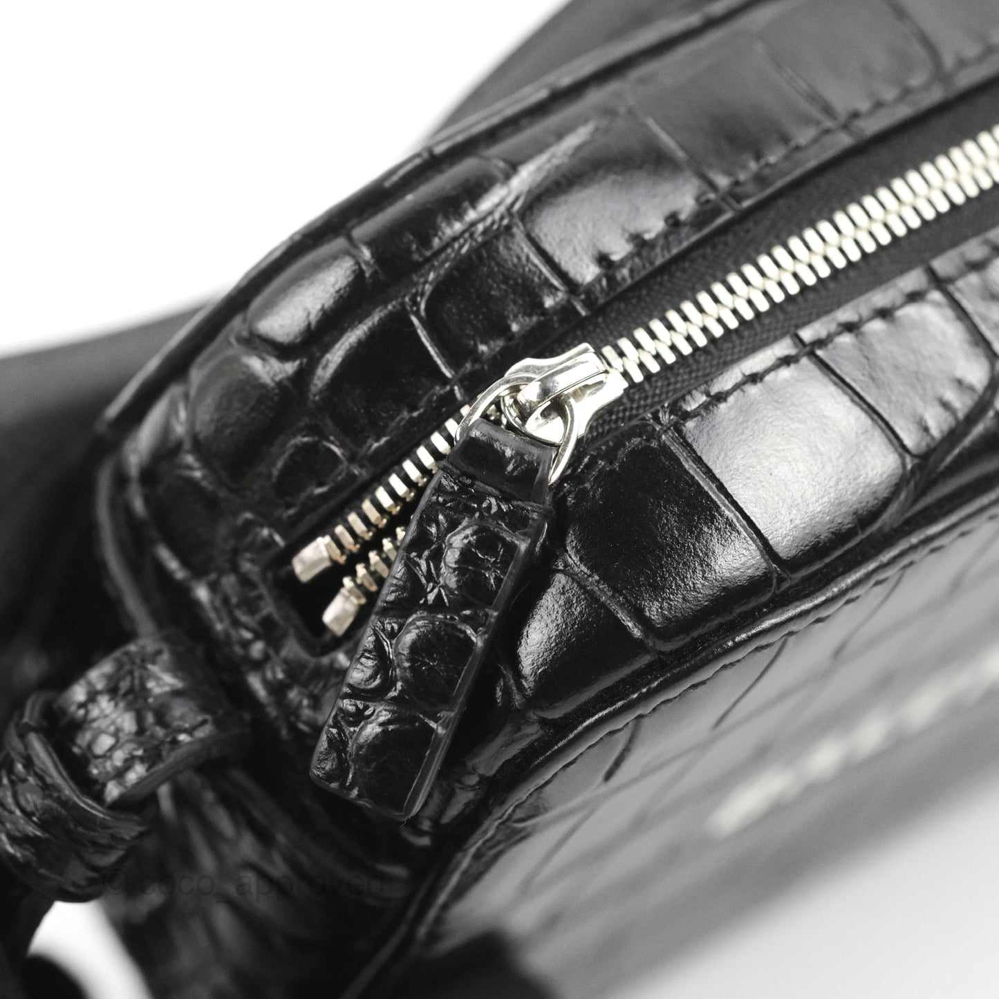 Balenciaga Everyday Camera Bag