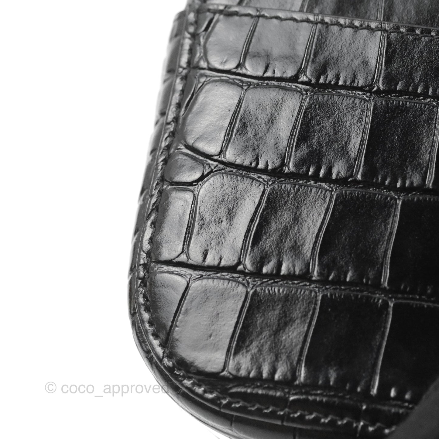 Balenciaga Everyday Camera Bag