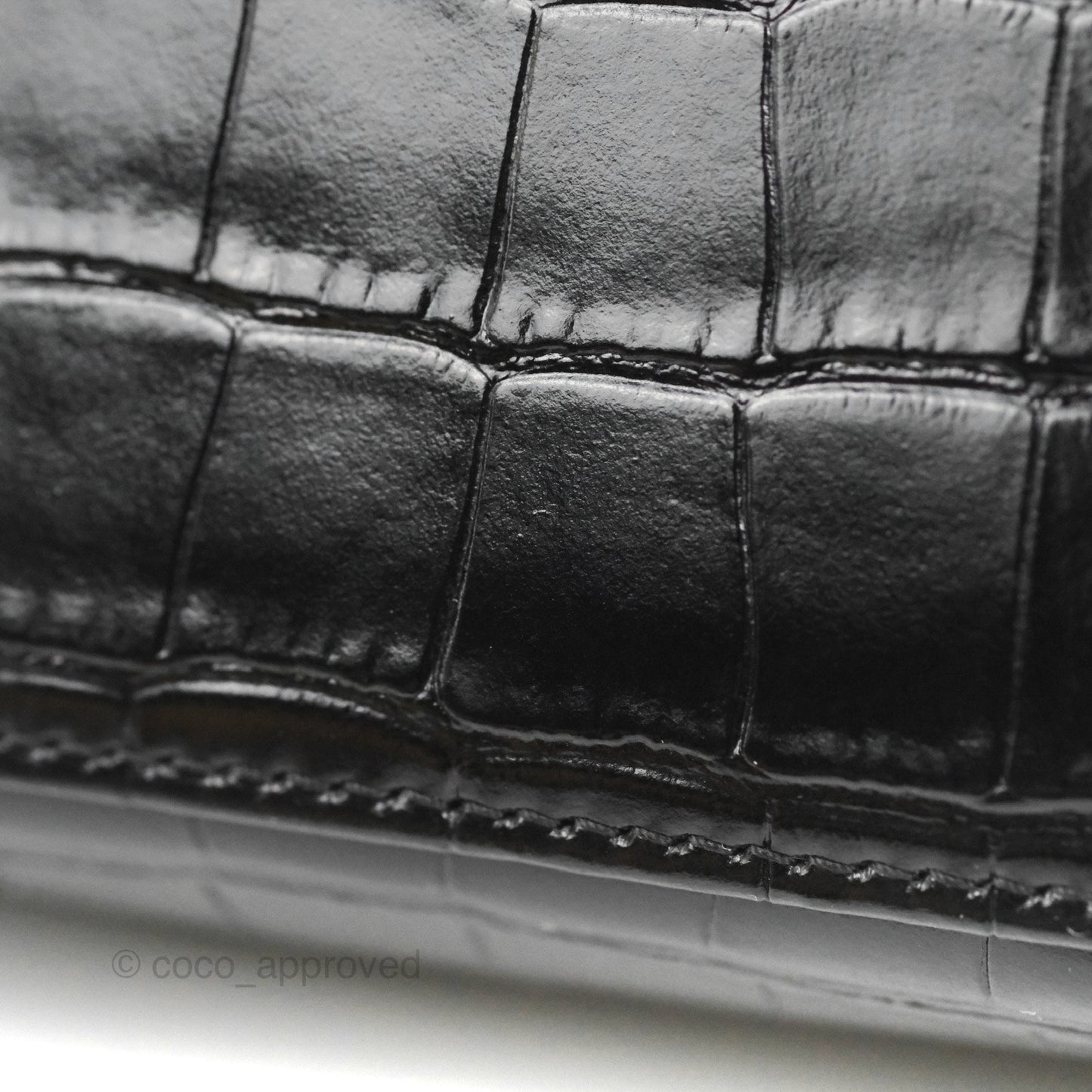 Balenciaga Everyday Camera Bag