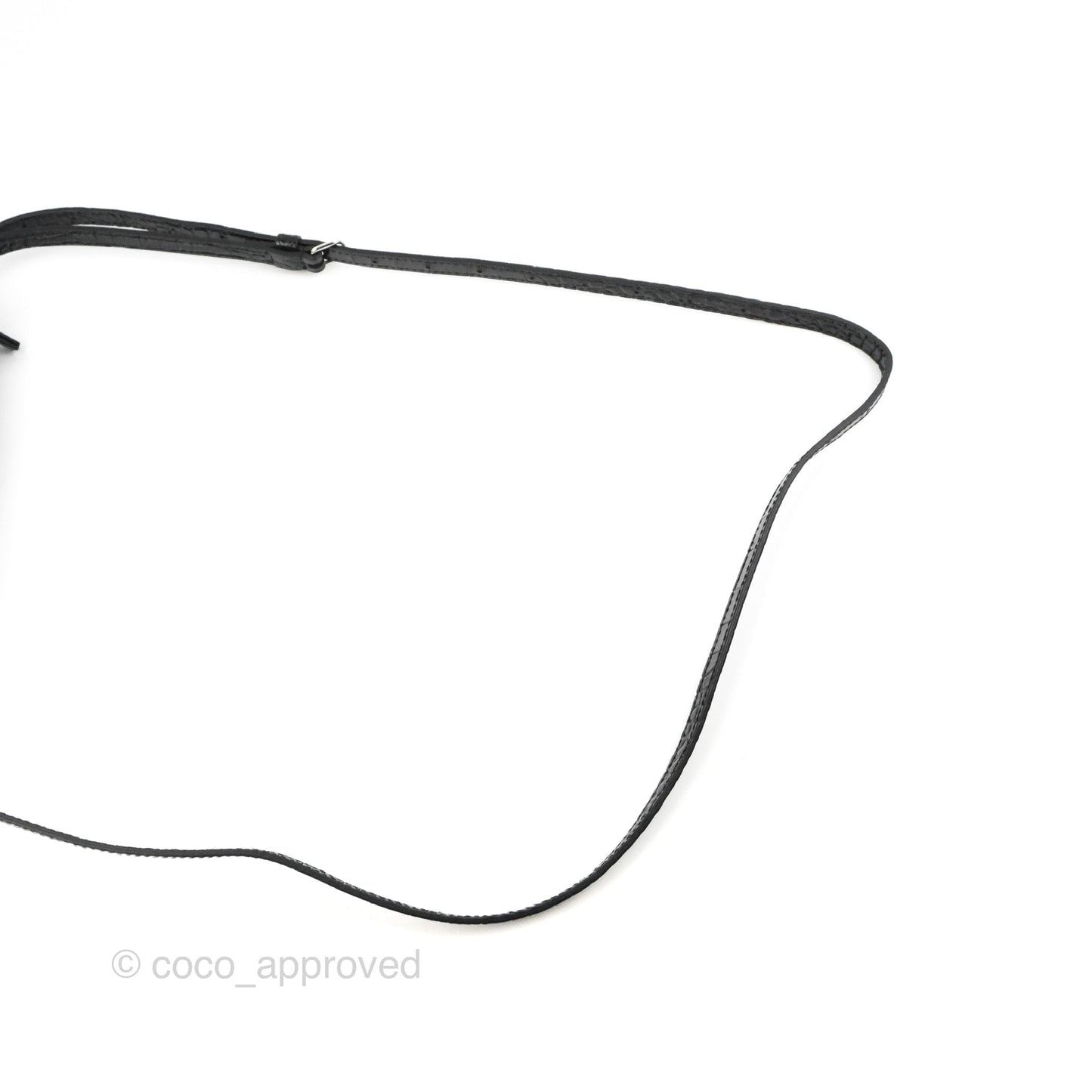 Balenciaga Everyday Camera Bag