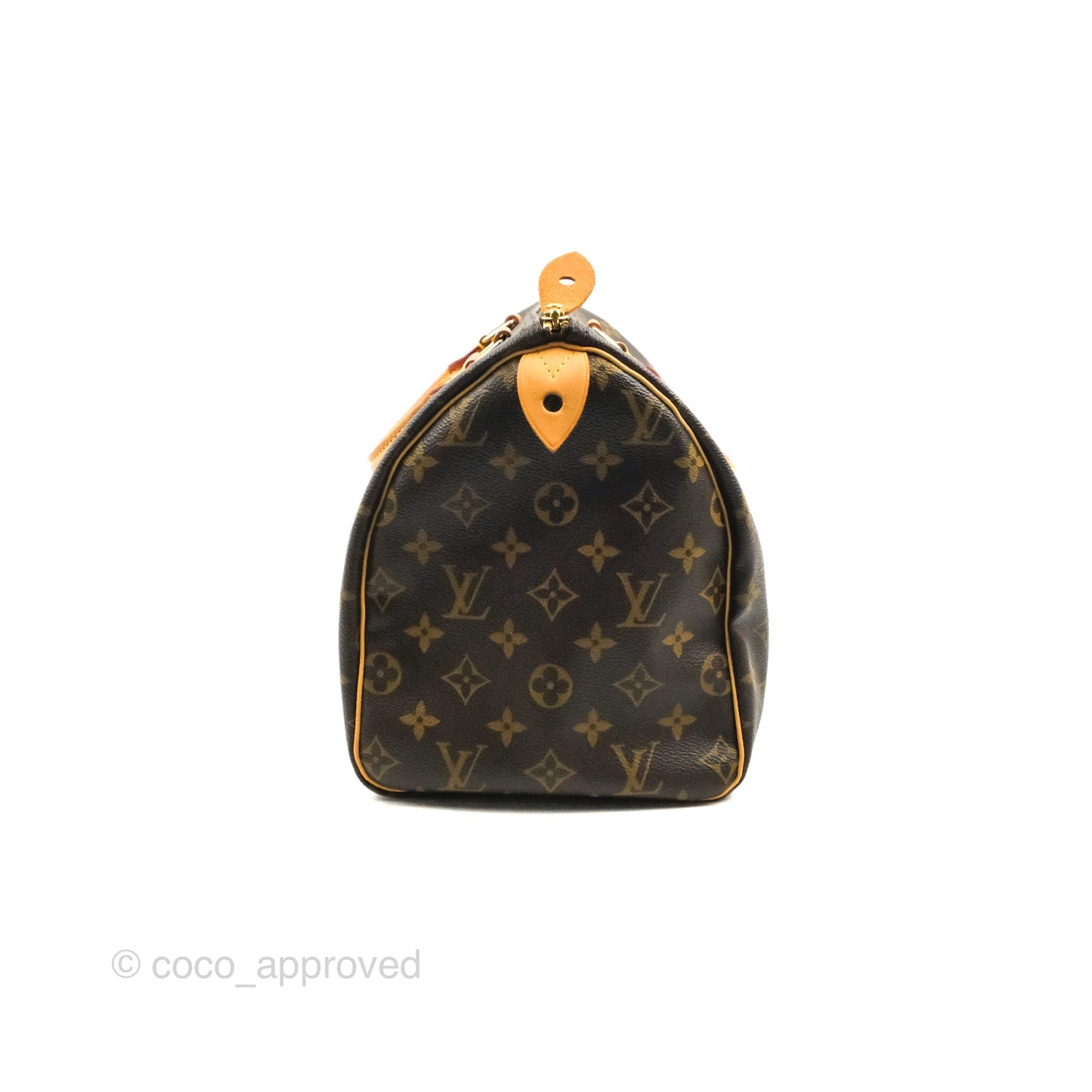 Louis Vuitton Speedy 30 Monogram Canvas