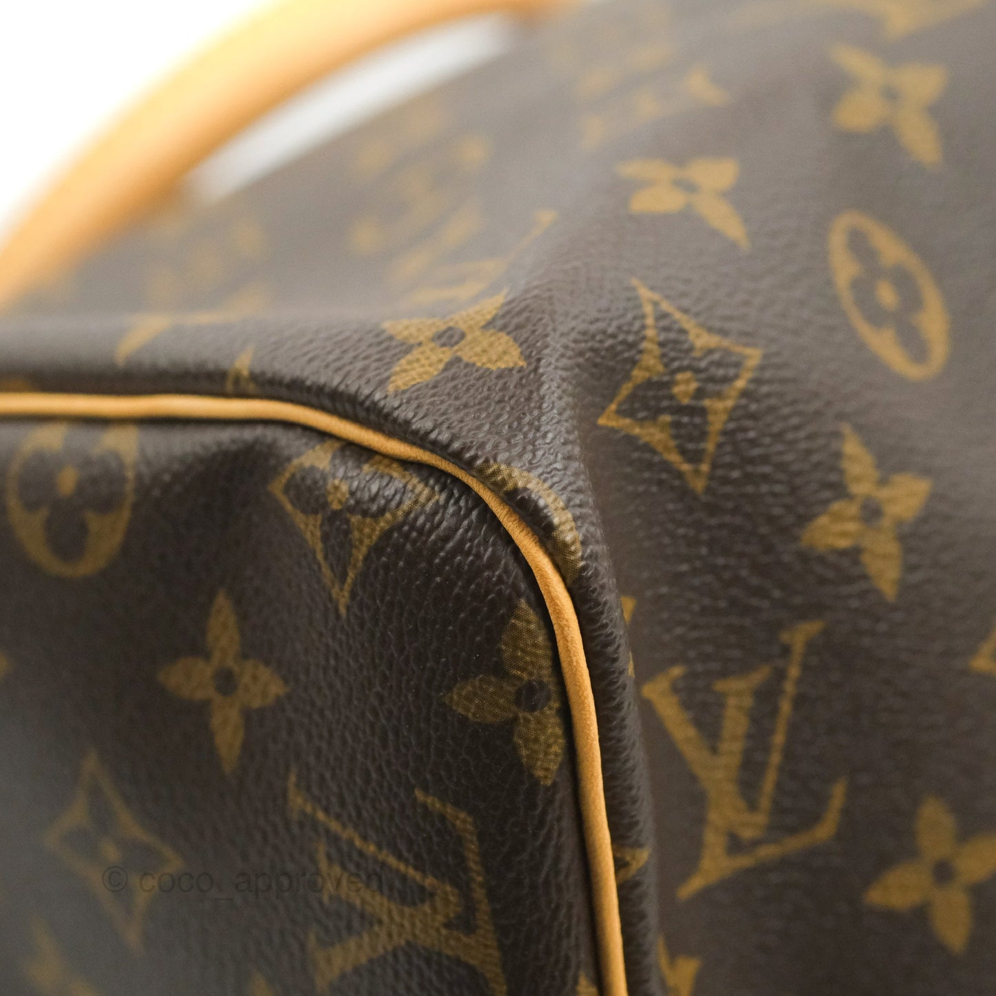 Louis Vuitton Speedy 30 Monogram Canvas