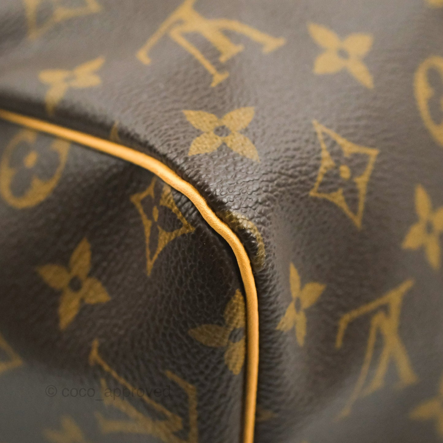 Louis Vuitton Speedy 30 Monogram Canvas