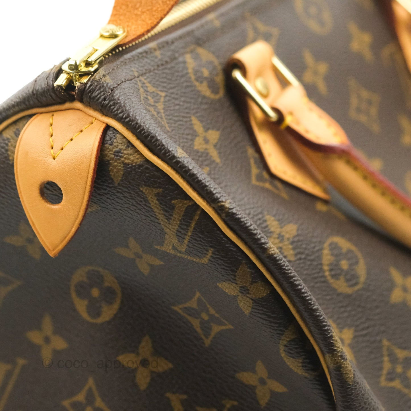 Louis Vuitton Speedy 30 Monogram Canvas
