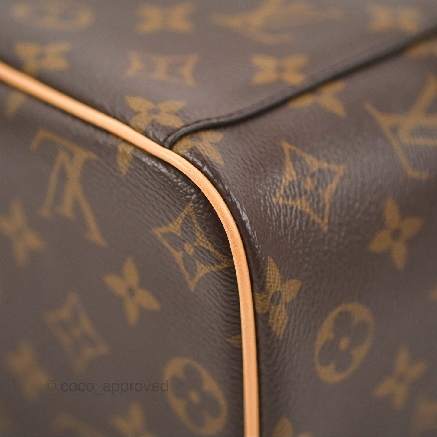 Louis Vuitton Nice Mini Monogram Canvas