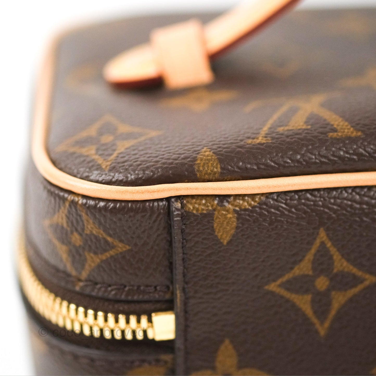 Louis Vuitton Nice Mini Monogram Canvas