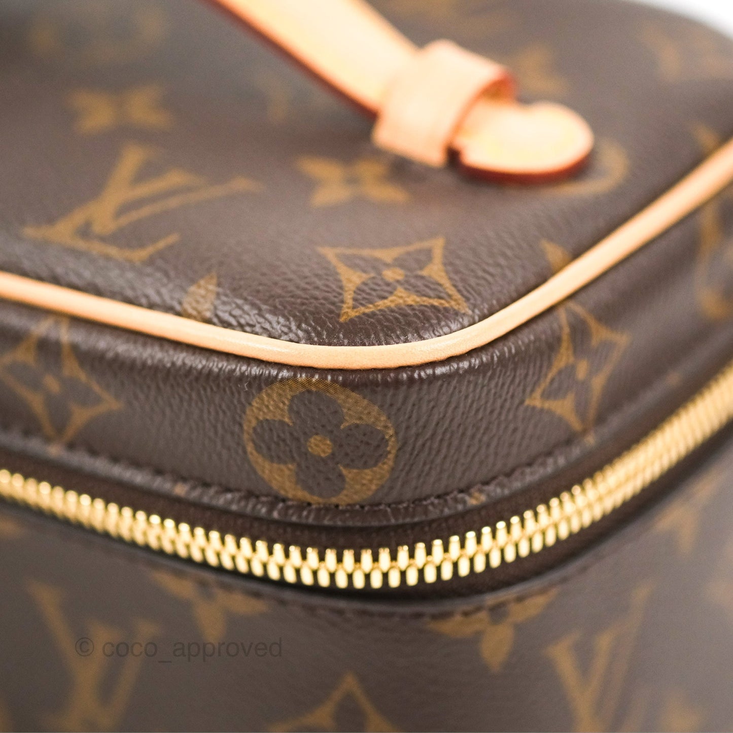 Louis Vuitton Nice Mini Monogram Canvas