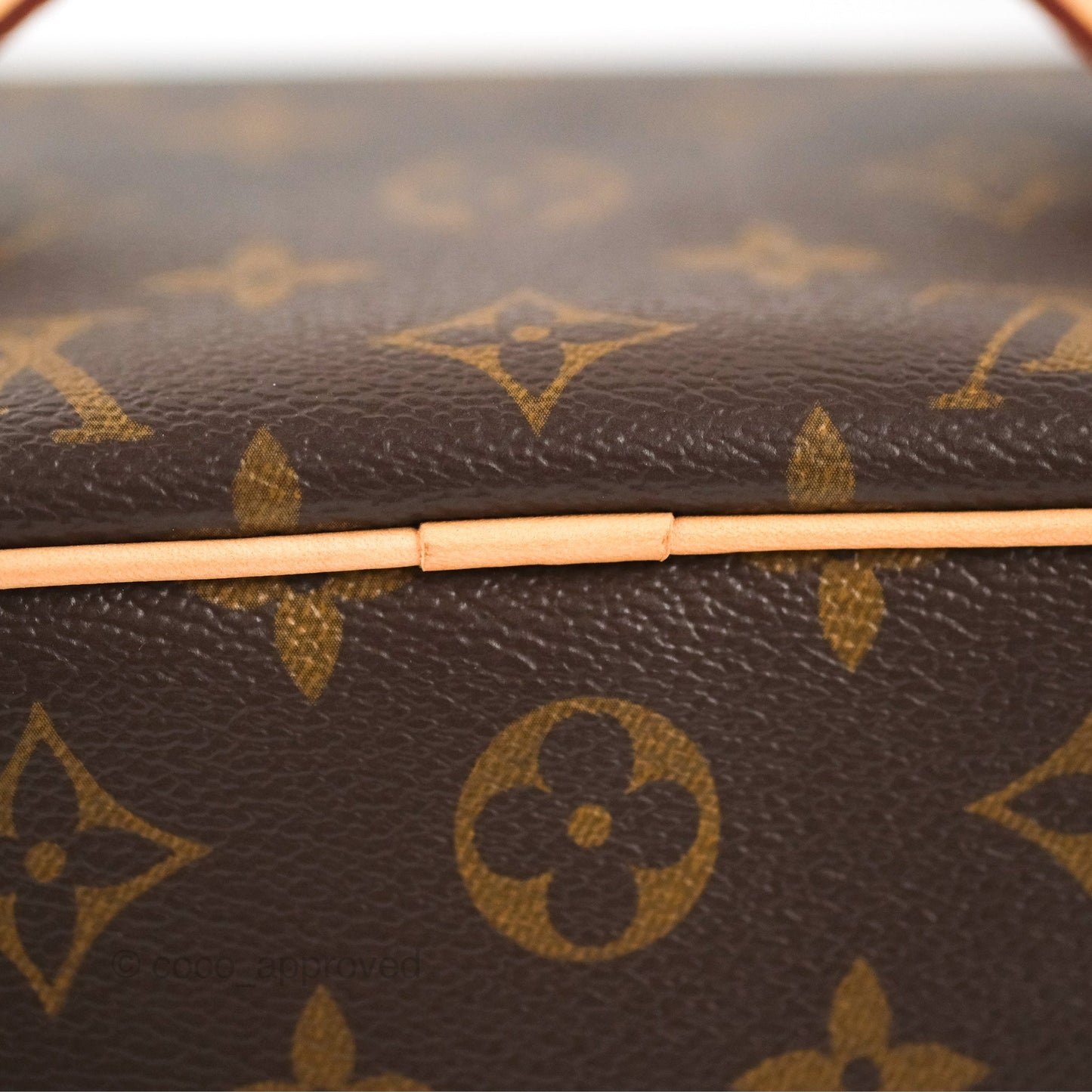 Louis Vuitton Nice Mini Monogram Canvas
