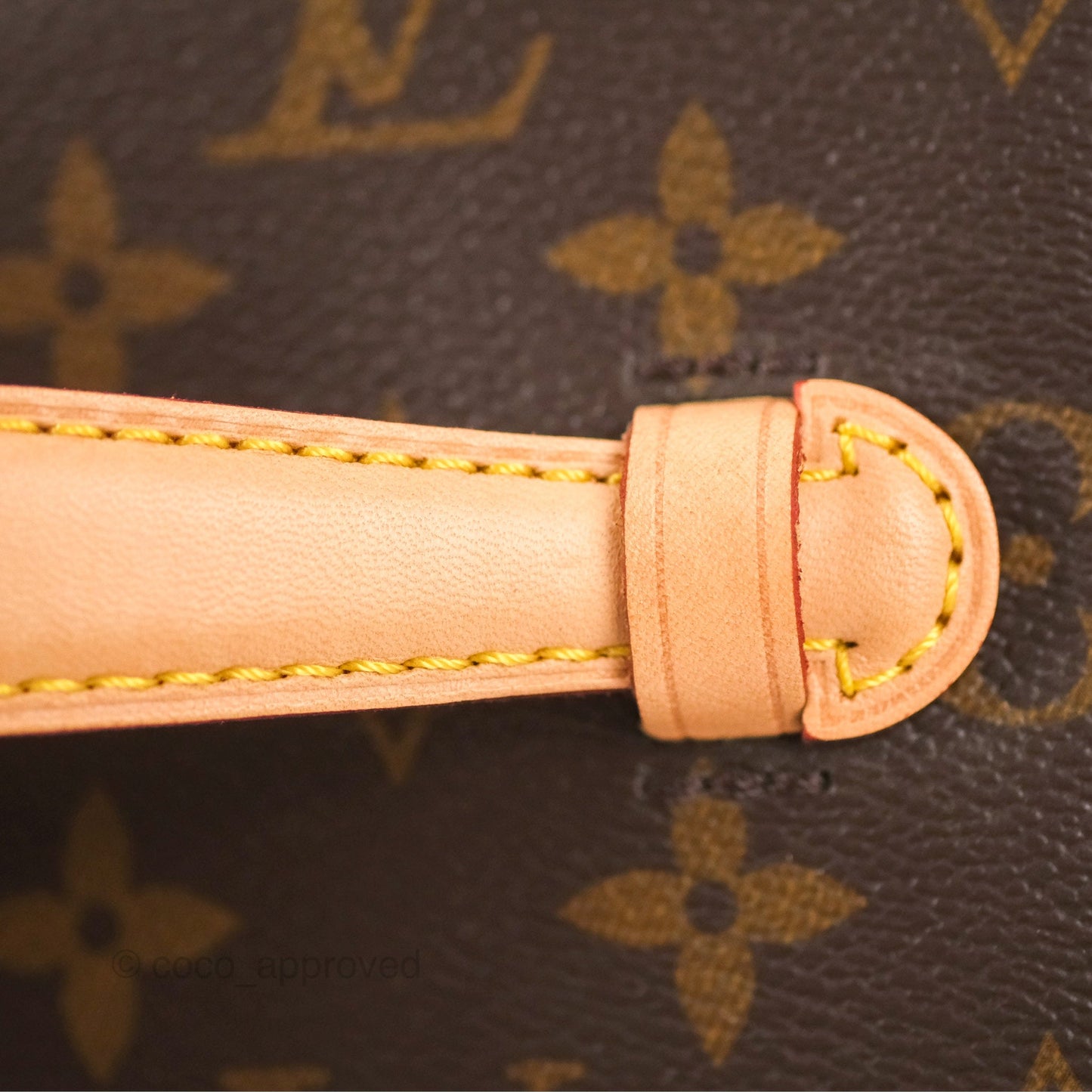 Louis Vuitton Nice Mini Monogram Canvas