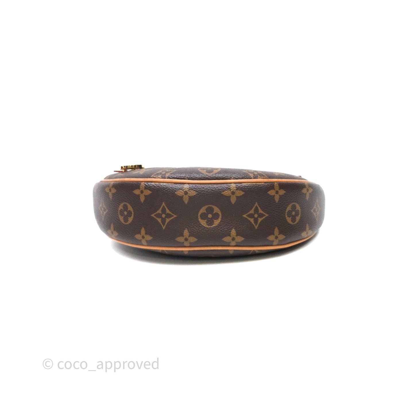 Louis Vuitton Loop Monogram Canvas