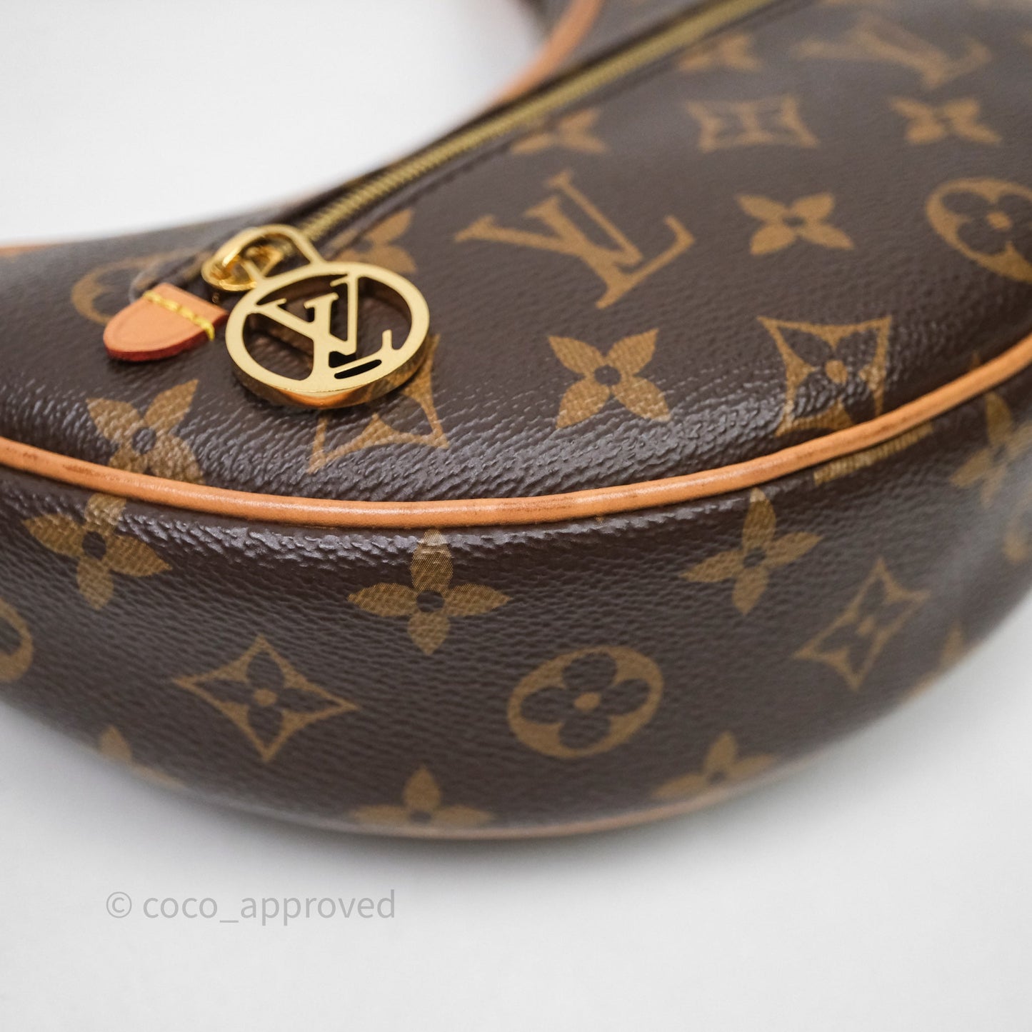 Louis Vuitton Loop Monogram Canvas