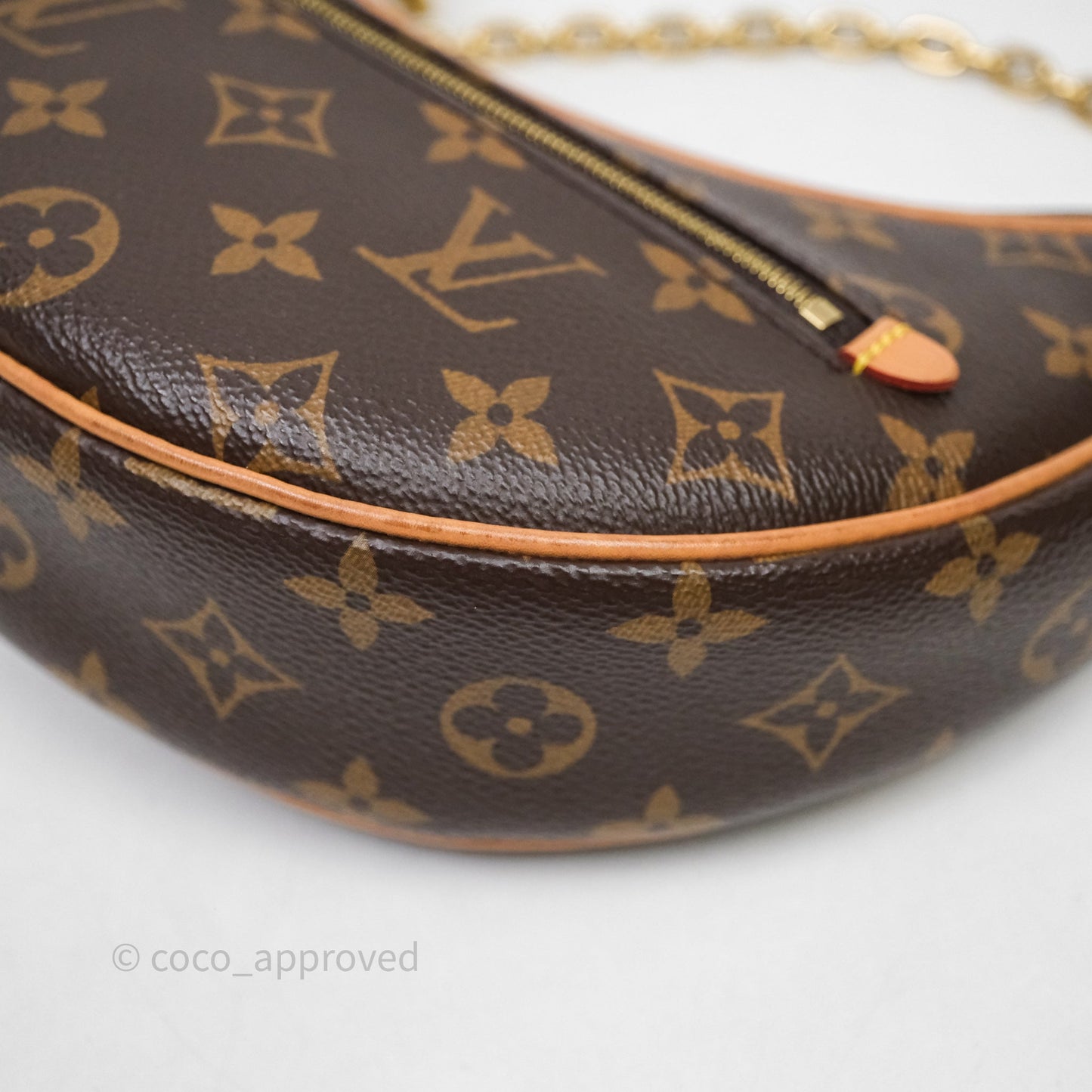 Louis Vuitton Loop Monogram Canvas
