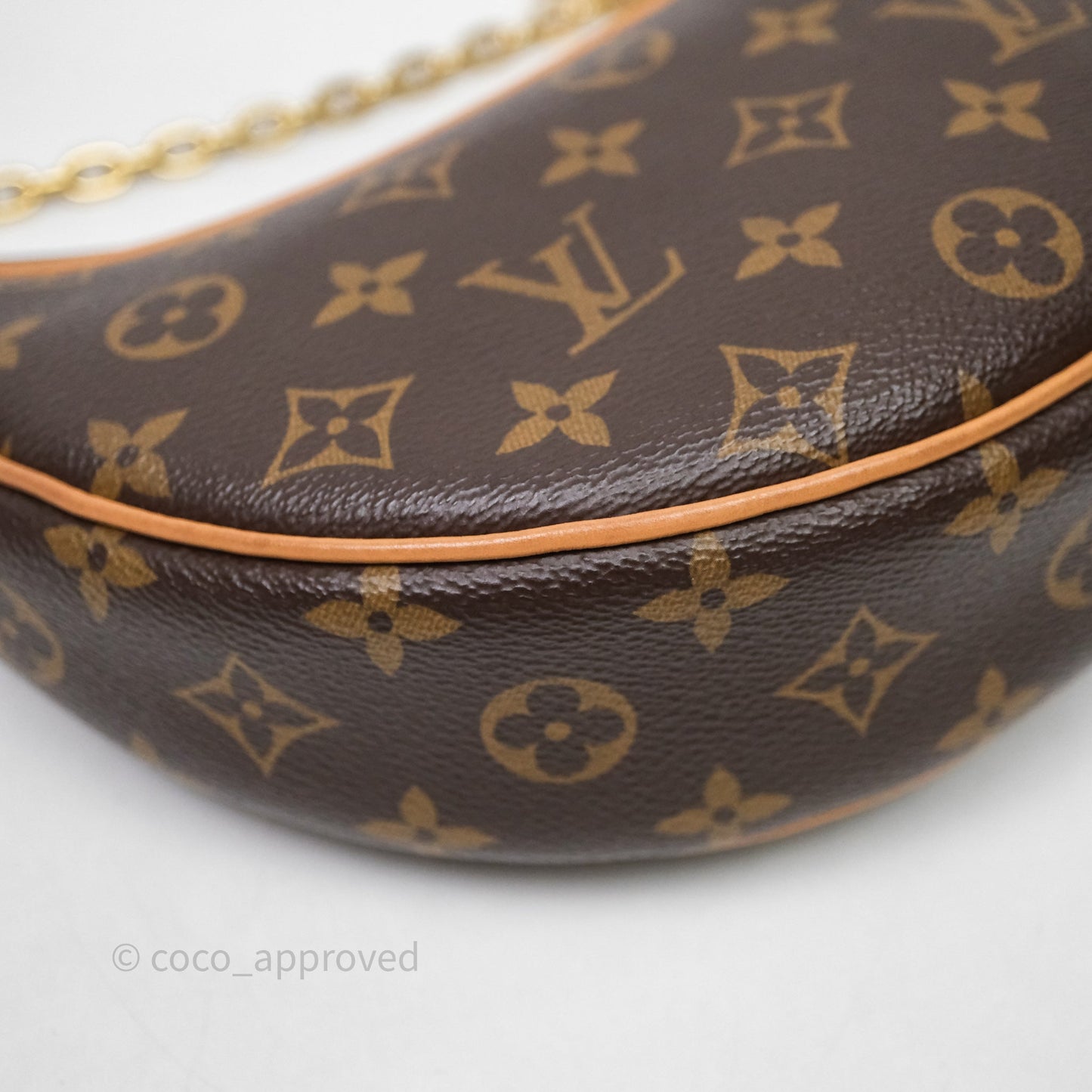 Louis Vuitton Loop Monogram Canvas