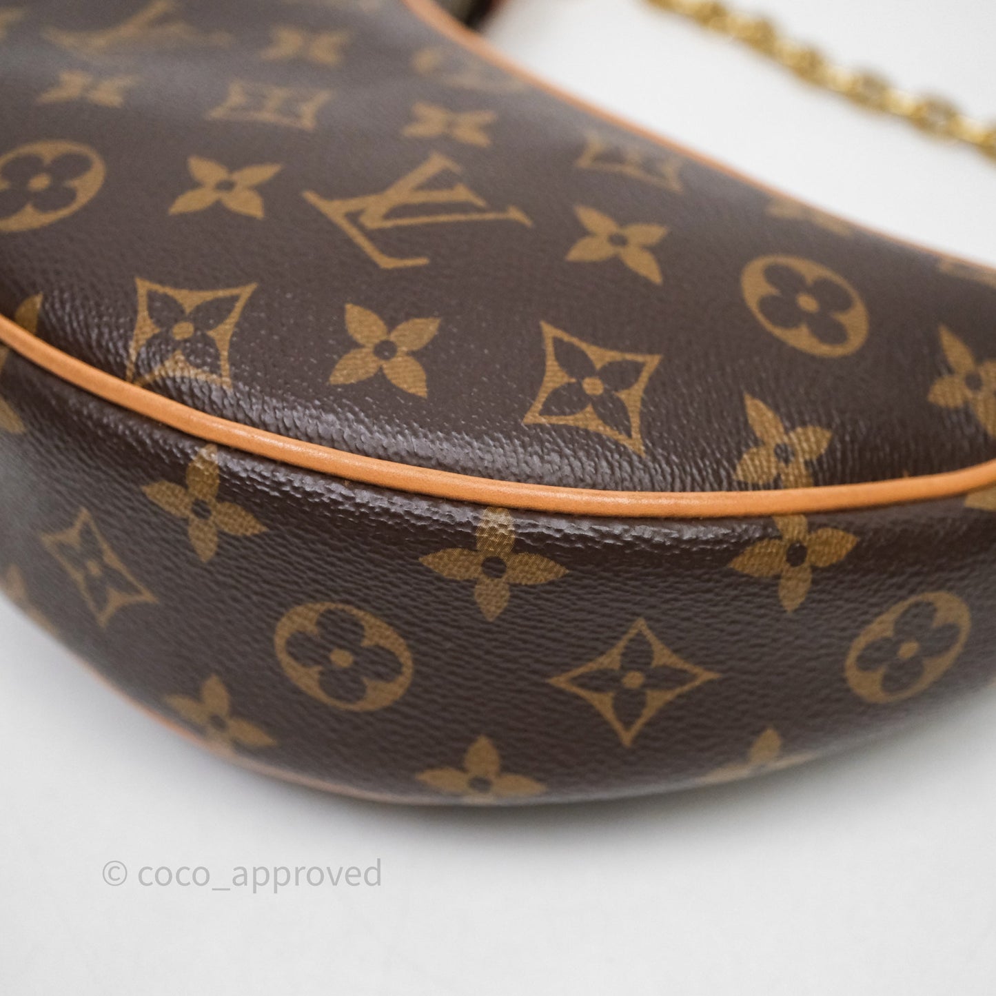 Louis Vuitton Loop Monogram Canvas