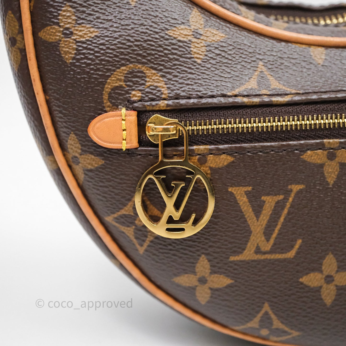 Louis Vuitton Loop Monogram Canvas