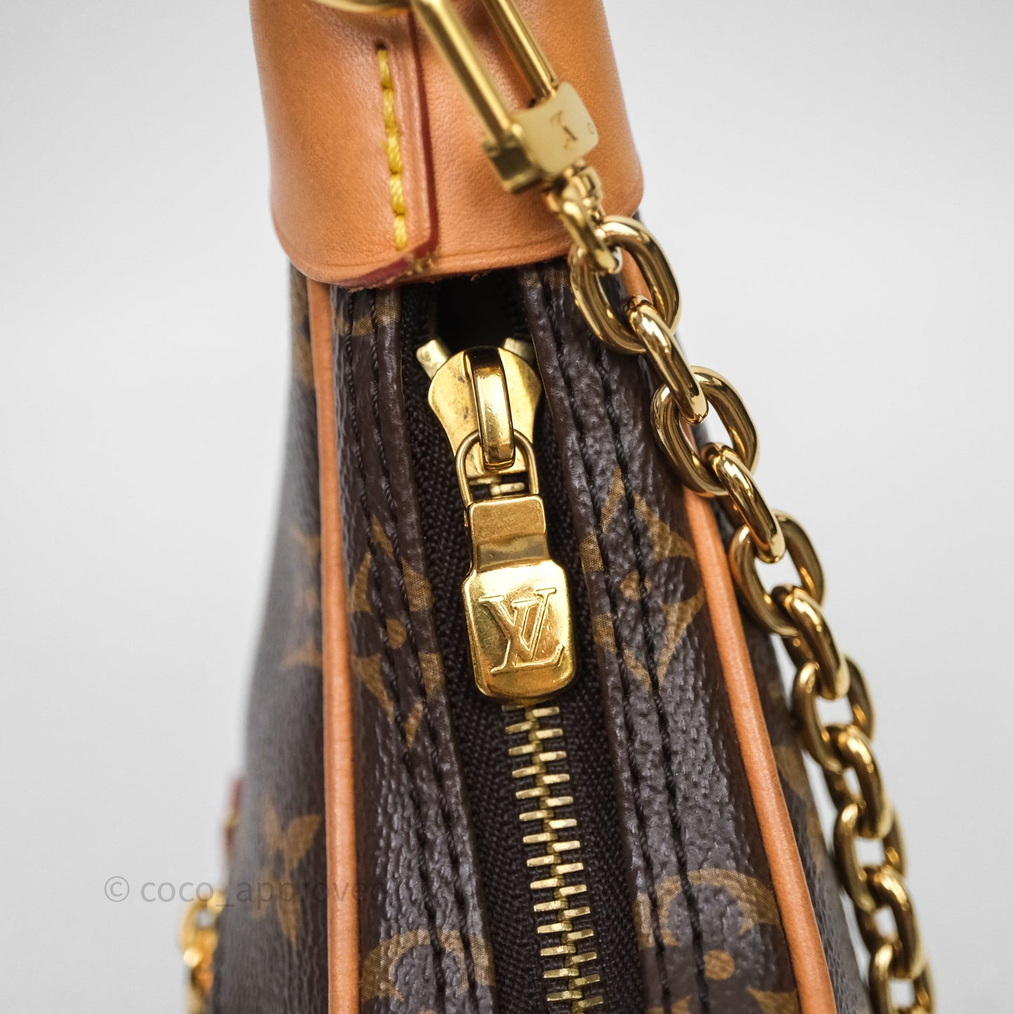 Louis Vuitton Loop Monogram Canvas