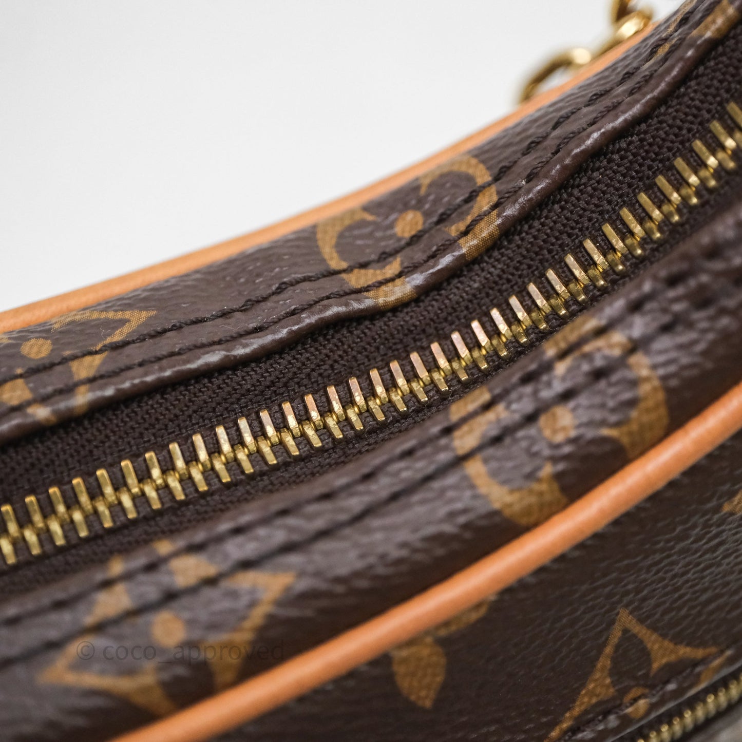Louis Vuitton Loop Monogram Canvas