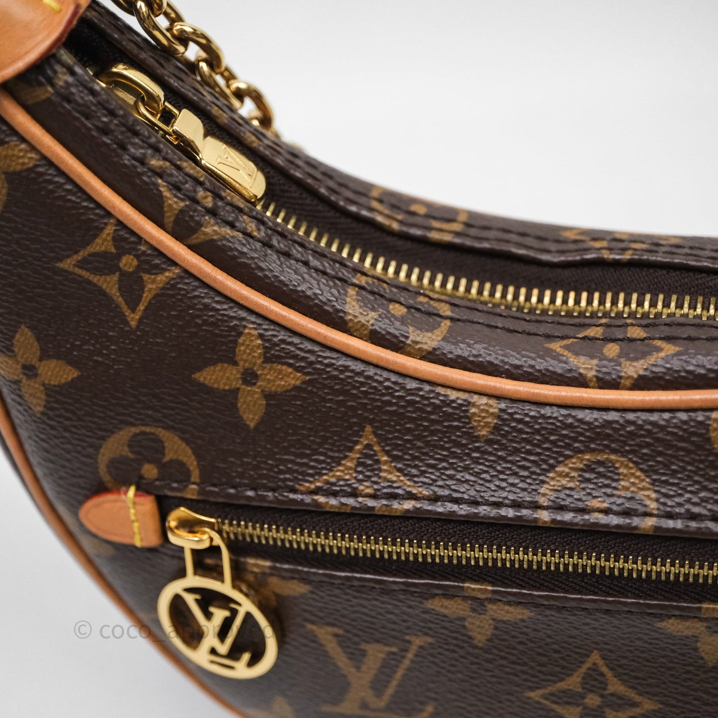 Louis Vuitton Loop Monogram Canvas