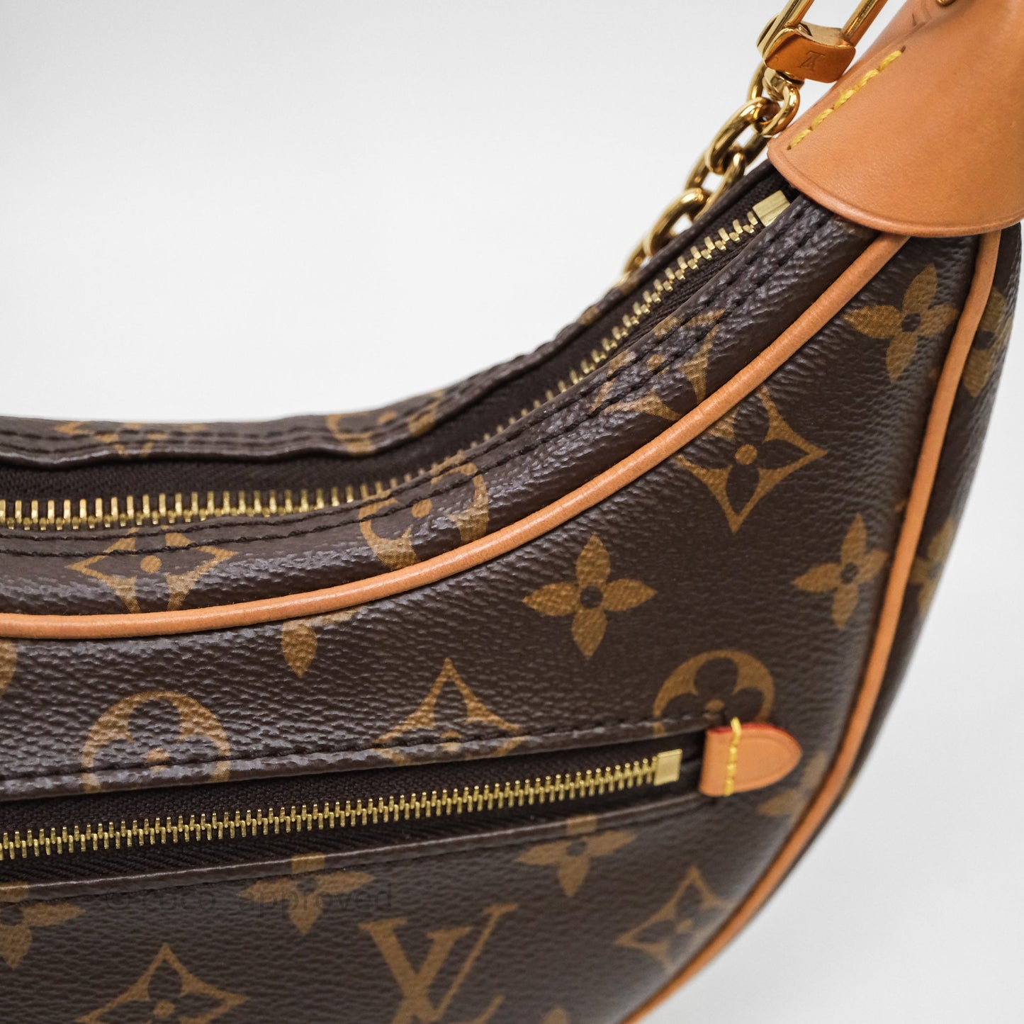 Louis Vuitton Loop Monogram Canvas