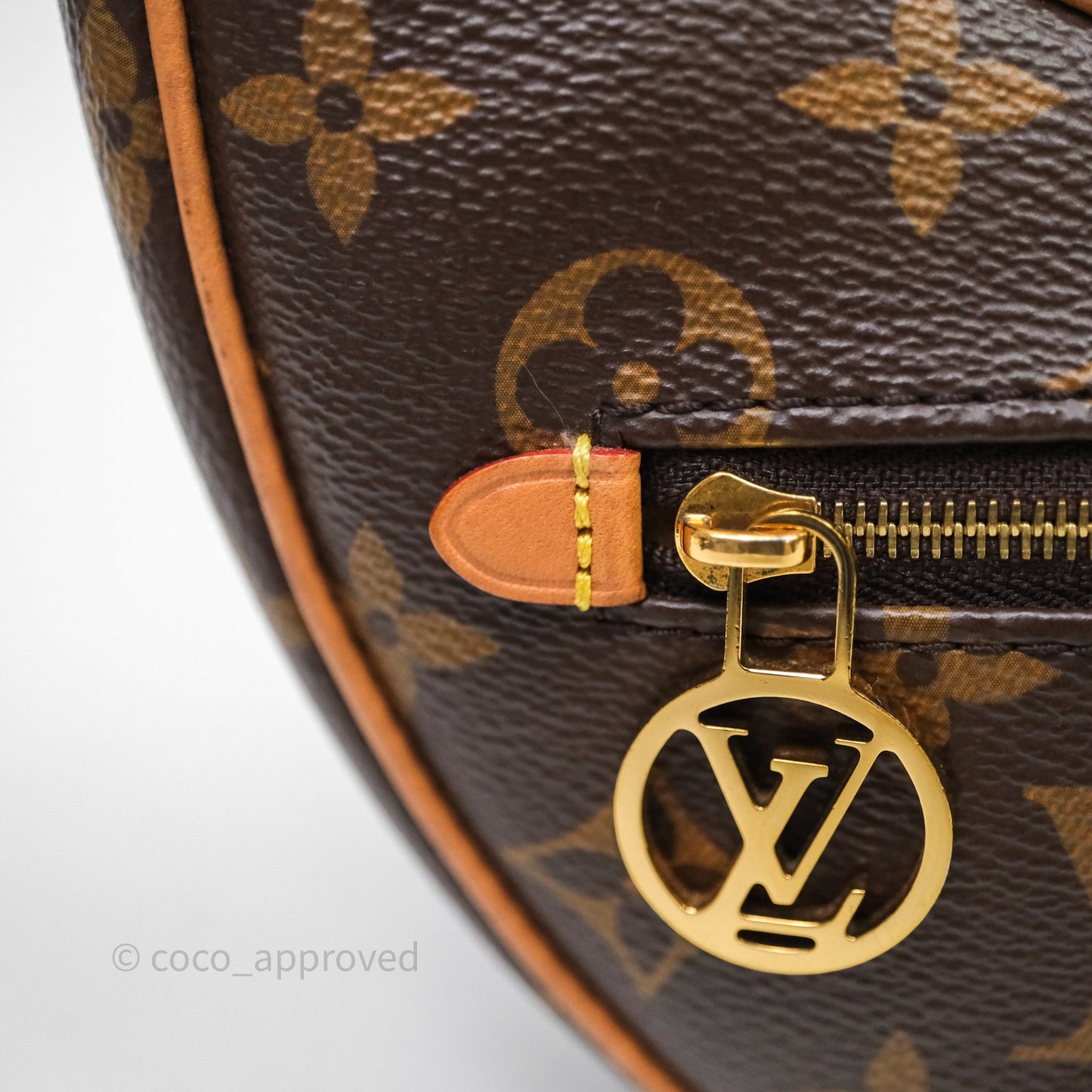 Louis Vuitton Loop Monogram Canvas